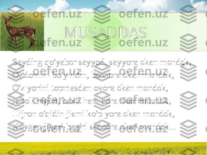 MUSADDAS
Sayding qo'yaber sayyod, sayyora ekan mendek, 
Ol domini bo'ynidin, bechora ekan mendek, 
O'z yorini topmasdan ovora ekan mendek, 
Iqboli nigun, baxti ham qora ekan mendek, 
Hijron o'qidin jismi ko'p yora ekan mendek, 
Kuygan jigari-bag'ri sadpora ekan mendek...  