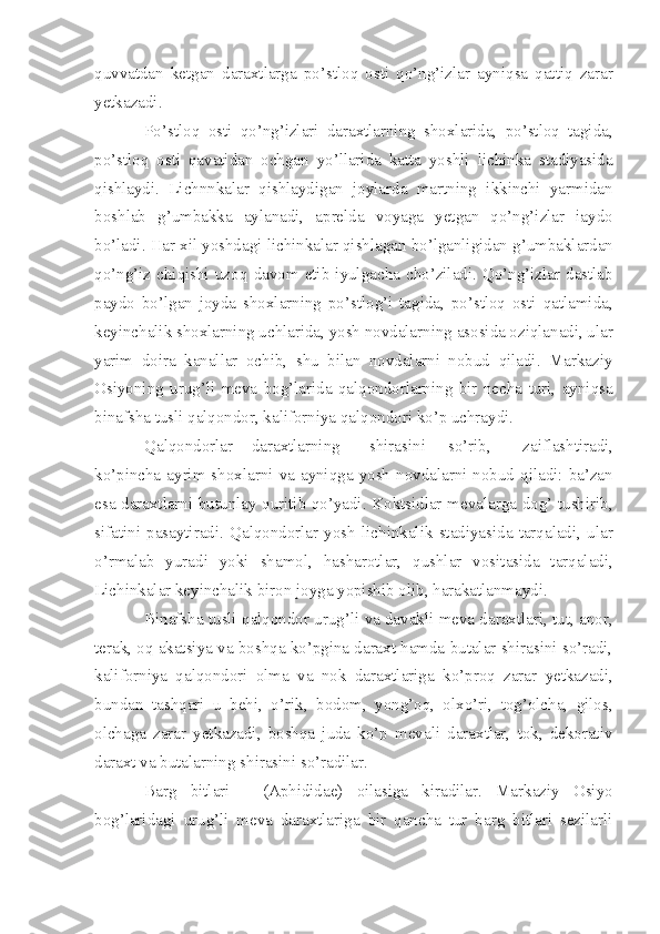 quvvatdan   ketgan   daraxtlarga   po’stloq   osti   qo’ng’izlar   ayniqsa   qattiq   zarar
yetkazadi.
Po’stloq   osti   qo’ng’izlari   daraxtlarning   shoxlarida,   po’stloq   tagida,
po’stloq   osti   qavatidan   ochgan   yo’llarida   katta   yoshli   lichinka   stadiyasida
qishlaydi.   Lichnnkalar   qishlaydigan   joylarda   martning   ikkinchi   yarmidan
boshlab   g’umbakka   aylanadi,   aprelda   voyaga   yetgan   qo’ng’izlar   iaydo
bo’ladi. Har xil yoshdagi l i chinkalar qishlagan bo’lganligidan g’umbaklardan
qo’ng’iz  chiqishi   uzoq   davom   etib  iyulgacha   cho’ziladi.  Qo’ng’izlar  dastlab
paydo   bo’lgan   joyda   shoxlarning   po’stlog’i   tagida,   po’stloq   osti   qatlamida,
keyinchalik shoxlarning uchlarida, yosh novdalarning asosida oziqlanadi, ular
yarim   doira   kanallar   ochib,   shu   bilan   novdalarni   nobud   qiladi.   Markaziy
Osiyoning   urug’li   meva   bog’larida   qalqondorlarning   bir   necha   turi,   ayniqsa
binafsha tusli qalqondor, kaliforniya qalqondori ko’p uchraydi.
Qalqondorlar daraxtlarning shirasini so’rib,   zaiflashtiradi,
ko’pincha ayrim shoxlarni va ayniqga yosh  novdalarni nobud  qiladi: ba’zan
esa daraxtlarni butunlay quritib qo’yadi. Koktsidlar mevalarga dog’ tushirib,
sifatini   pasaytiradi.   Qalqondorlar   yosh   lichinkalik   stadiyasida   tarqaladi,   ular
o’rmalab   yuradi   yoki   shamol,   hasharotlar,   qushlar   vositasida   tarqaladi,
Lichinkalar keyinchalik biron joyga yopishib olib, harakatlanmaydi.
Binafsha tusli qalqondor urug’li va davakli meva daraxtlari, tut, anor,
terak, oq akatsiya va boshqa ko’pgina daraxt hamda butalar shirasini so’radi,
kaliforniya   qalqondori   olma   va   nok   daraxtlariga   ko’proq   zarar   yetkazadi,
bundan   tashqari   u   behi,   o’rik,   bodom,   yong’oq,   olxo’ri,   tog’olcha,   gilos,
olchaga   zarar   yetkazadi,   boshqa   juda   ko’p   mevali   daraxtlar,   tok,   dekorativ
daraxt va butalarning shirasini so’radilar.
Barg   bitlari   -   (Aphididae)   oilasiga   kiradilar.   Markaziy   Osiyo
bog’laridagi   urug’li   meva   daraxtlariga   bir   qancha   tur   barg   bitlari   sezilarli 