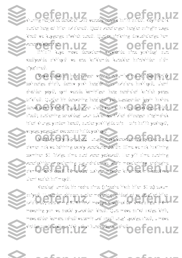 shuning natijasida daraxtlar uzoq vaqtcha bargsiz bo’lib qoladi. Keyinchalik
qurtlar   barg   eti   bilan   oziqlanadi.   Qattiq   zararlangan   barglar   qo’ng’ir   tusga
kiradi   va   kuyganga   o’xshab   turadi.   Qurtlar   o’rikning   dovuchalariga   ham
zarar yetkazadilar.
G’ilofli   kuya   meva   daraxtlarni   shoxlarida   o’rta   yoshdagi   qurt
stadiyasida   qishlaydi   va   erta   ko’klamda   kurtaklar   bo’rtishidan   oldin
o’yg’onadi.
Meva   daraxtlari   barg   yozgan   vaqtida   tuxumlarning   ichidagi   qurtlar
tashqariga   chiqib,   darrov   yosh   barglar   bilan   oziqlana   boshlaydi,   ularni
chetidan   yeydi,   ayni   vaqtda   kemirilgan   barg   parchalari   ko’plab   yerga
to’kiladi.   Qurtlar   bir   daraxtning   barglarini   yeb   tugatgandan   keyin   boshqa
daraxtlarga o’rmalab o’tadi; ba’zan ularni shamol boshqa daraxtlarga uchirib
o’tadi;   qurtlarning   tanasidagi   uzun   tuklari   va   o’zlari   chiqargan   o’rgimchak
iplari  shunga  yordam  beradi,  qurtlar  yoshligida  to’p  –  to’p  bo’lib  yashaydi,
voyaga yetganlari esa tarqoq holda yashaydi.
Markaziy Osiyo olma qurti - urug’li meva daraxtlarining ayniqsa olma,
qisman   nok   va   behining   asosiy   zararkunandasidir.   Olma   va   nok   hosilining
taxminan   50   foiziga   olma   qurti   zarar   yetkazadi.   Har   yili   olma   qurtining
zararlashidan   mevalarning   tugunchalari   va   g’o’r   mevalarining   anchagina
qismi   to’kilib   ketadi.   Olma   qurti   tushgan   mevalar   ko’pincha   irib   ketadi   va
ularni saqlab bo’lmaydi.
Kapalagi   umrida   bir   necha   o’nta   (o’rtacha   hisob   bilan   50   ta)   tuxum
qo’yadi. Tuxumdan chiqqan qurtlar mevaning ichidagi eti va urug’lari bilan
oziqlanadi, qurtlarning 60-80 foizi mevaga kosachasidan kirsa qolgan qismi
mevaning   yon   va   pastki   yuzasidan   kiradi.   Qurt   meva   po’sti   ostiga   kirib,
meva etidan kamera ochadi va temir uzel orqali urug’ uyasiga o’tadi, u meva
sirtidan tomir uzeliga o’tish uchun burama kanal ochadi. 