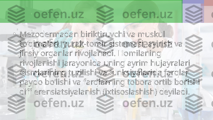 •
Mezodermadan biriktiruvchi va muskul 
to‘qimalari, yurak-tomir sistemasi, ayirish va 
jinsiy organlar rivojlanadi. Homilaning 
rivojlanishi jarayonida uning ayrim hujayralari 
qismlarining tuzilishi va funksiyalarida farqlar 
paydo bo‘lishi va farqlarning tobora ortib borishi 
diff erensiatsiyalanish (ixtisoslashish) deyiladi. 