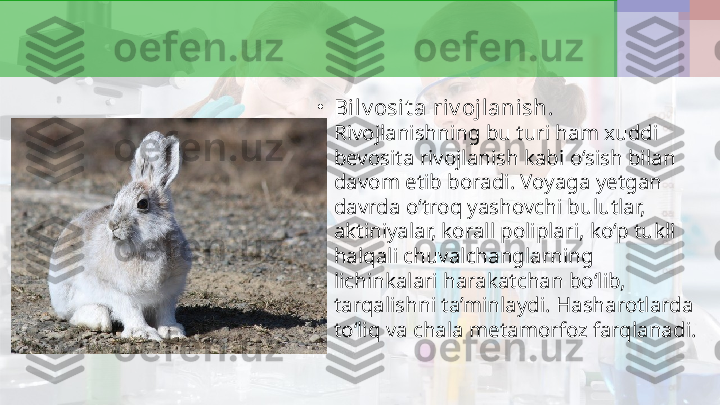 •
Bilv osit a riv ojlanish . 
Rivojlanishning bu turi ham xuddi 
bevosita rivojlanish kabi o‘sish bilan 
davom etib boradi. Voyaga yetgan 
davrda o‘troq yashovchi bulutlar, 
aktiniyalar, korall poliplari, ko‘p tukli 
halqali chuvalchanglarning 
lichinkalari harakatchan bo‘lib, 
tarqalishni ta’minlaydi. Hasharotlarda 
to‘liq va chala metamorfoz farqlanadi. 