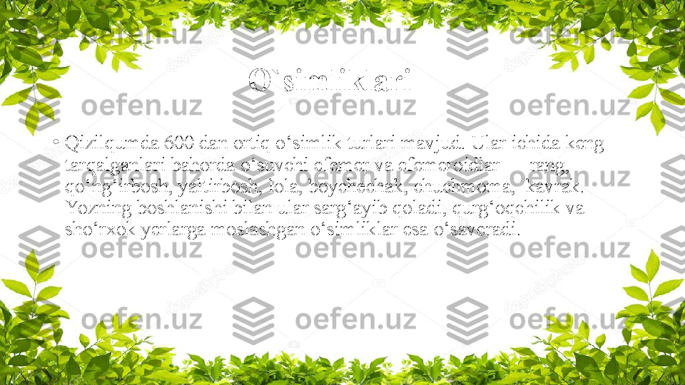 O`simliklari
•
Qizilqumda 600 dan ortiq o‘simlik turlari mavjud. Ular   ichida keng 
tarqalganlari bahorda o‘suvchi efemer va efemeroidlar — rang, 
qo‘ng‘irbosh, yaltirbosh, lola, boychechak, chuchmoma,  kavrak. 
Yozning boshlanishi bilan ular sarg‘ayib qoladi, qurg‘oqchilik va 
sho‘rxok yerlarga moslashgan o‘simliklar   esa o‘saveradi. 