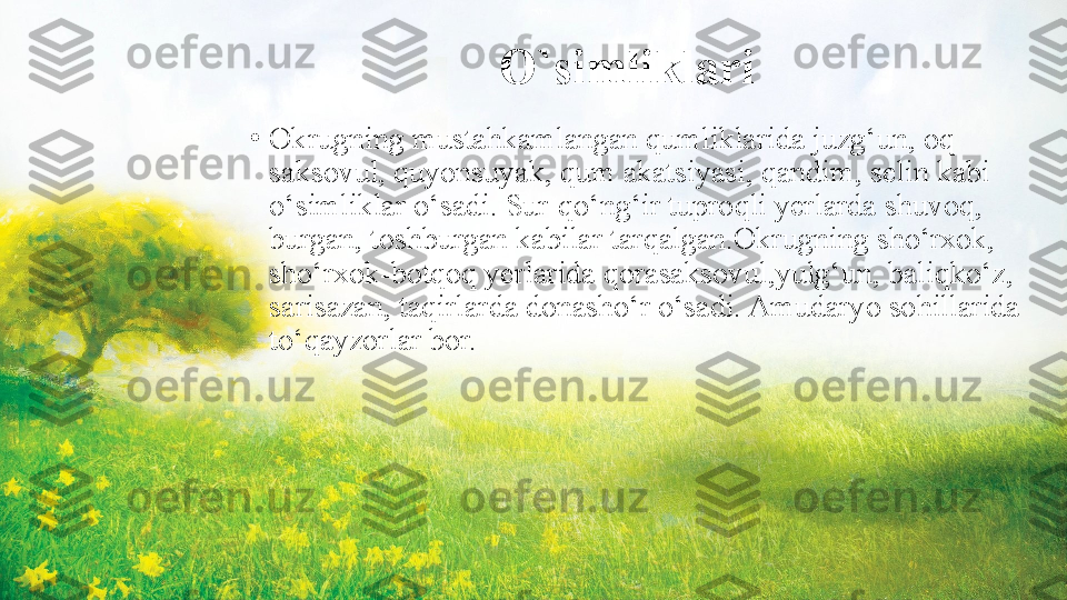 O`simliklari
•
Okrugning mustahkamlangan qumliklarida juzg‘un, oq 
saksovul, quyonsuyak, qum akatsiyasi, qandim, selin kabi 
o‘simliklar   o‘sadi. Sur-qo‘ng‘ir tuproqli yerlarda shuvoq, 
burgan, toshburgan   kabilar tarqalgan.Okrugning sho‘rxok, 
sho‘rxok-botqoq yerlarida qorasaksovul,yulg‘un, baliqko‘z, 
sarisazan, taqirlarda donasho‘r o‘sadi. Amudaryo sohillarida 
to‘qayzorlar bor. 