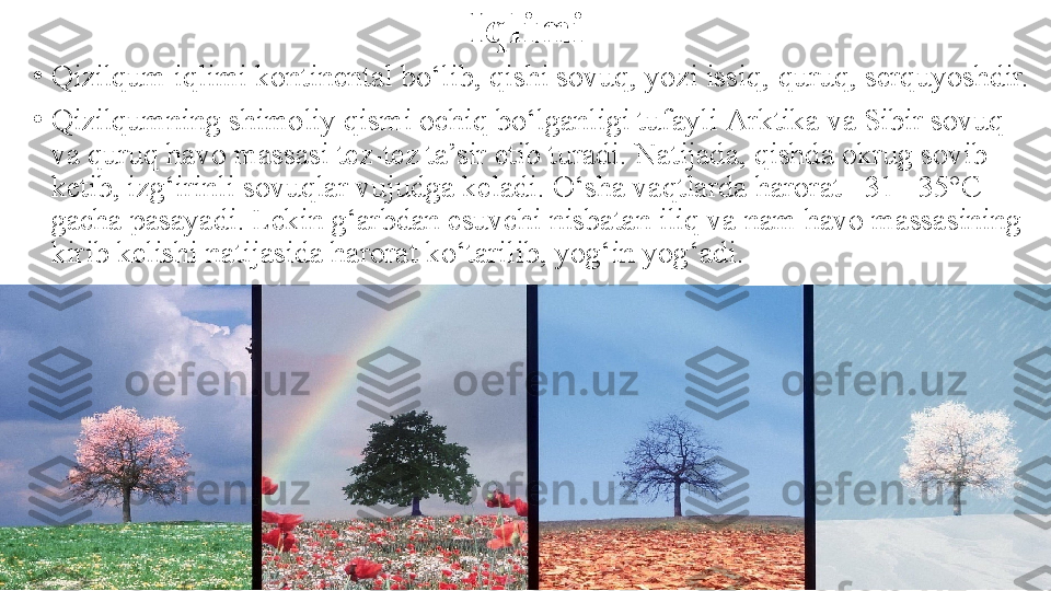 Iqlimi
•
Qizilqum iqlimi kontinental bo‘lib, qishi sovuq, yozi issiq,   quruq, serquyoshdir.
•
Qizilqumning shimoliy qismi ochiq bo‘lganligi tufayli   Arktika va Sibir sovuq 
va quruq havo massasi tez-tez ta’sir   etib turadi. Natijada, qishda okrug sovib 
ketib, izg‘irinli   sovuqlar vujudga keladi. O‘sha vaqtlarda harorat –31 –35°C  
gacha pasayadi. Lekin g‘arbdan esuvchi nisbatan iliq va nam   havo massasining 
kirib kelishi natijasida harorat ko‘tarilib,   yog‘in yog‘adi. 