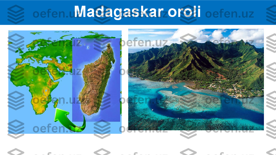Madagaskar oroli  