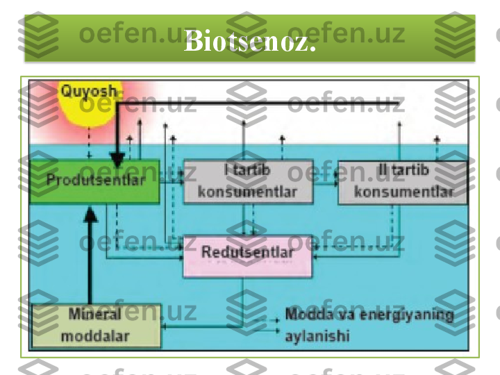 Biotsenoz.  