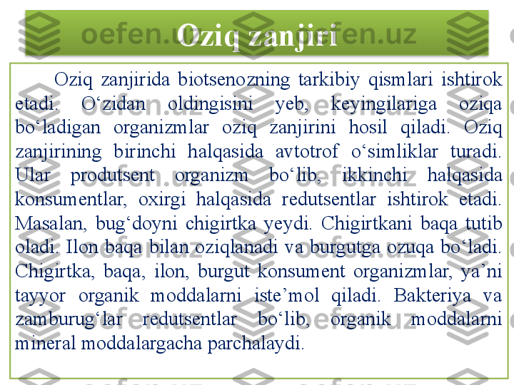 Oziq zanjiri
          Oziq  zanjirida  biotsenozning  tarkibiy  qismlari  ishtirok 
etadi.  O‘zidan  oldingisini  yeb,  keyingilariga  oziqa 
bo‘ladigan  organizmlar  oziq  zanjirini  hosil  qiladi.  Oziq 
zanjirining  birinchi  halqasida  avtotrof  o‘simliklar  turadi. 
Ular  produtsent  organizm  bo‘lib,  ikkinchi  halqasida 
konsumentlar,  oxirgi  halqasida  redutsentlar  ish tirok  etadi. 
Masalan,  bug‘doyni  chigirtka  yeydi.  Chigirtkani  baqa  tutib 
oladi.  Ilon  baqa  bilan  oziqlanadi  va  burgutga  ozuqa  bo‘ladi. 
Chigirtka,  baqa,  ilon,  burgut  konsument  organizmlar,  ya’ni 
tayyor  organik  moddalarni  iste’mol  qiladi.  Bakteriya  va 
zamburug‘lar  redutsentlar  bo‘lib,  organik  moddalarni 
mineral moddalargacha parchalaydi.  