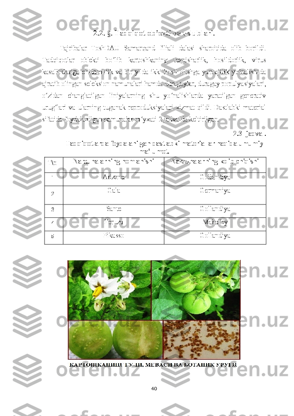 2.2.  § .  Tadqiqot ob’ekti va uslublari.
Tajribalar   ToshDAU   Samarqand   filiali   dalasi   sharoitida   olib   borildi.
Tadqiqotlar   ob'ekti   bo lib   kartoshkaning   tezpisharlik,   hosildorlik,   virusʻ
kasalliklariga chidamlilik va bir  yilda  ikki  hosil  olishga yaroqlilik yo nalishida	
ʻ
ajratib olingan seleksion namunalari hamda duragaylar, duragay populyasiyalari,
o zidan   changlatilgan   liniyalarning   shu   yo nalishlarda   yaratilgan   generativ	
ʻ ʻ
urug lari   va   ularning   tuganak   reproduksiyalari   xizmat   qildi.   Dastlabki   material	
ʻ
sifatida foydalanilgan namunalar ro yxati 2-jadvalda keltirilgan.	
ʻ
2.3- jadval.
Tadqiqotlarda foydalanilgan dastlabki materiallar haqida umumiy
ma’lumot.
Т\р Namunalarning nomlanishi Namunalarning kelib chiqishi
1 Arizona  Gollandiya
2 Gala  Germaniya
3 Sante Gollandiya
4 Feruza Mahalliy
5 Pikasso Gollandiya
40 