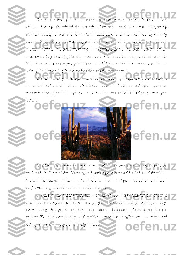 O‘simlik   o‘sayotgan   muhit   sharoitida   havo   harorati   ko‘tarilib   ketsau   qizib
ketadi.   Bizning   sharoitimizda   havoning   harorati   +35 0
S   dan   ortsa   hujayraning
sitoplazmasidagi   qovushqoqlikni  ko‘p   hollarda   ortishi,   kamdan   kam   kamayishi   ro‘y
beradi.   Sitoplazmada   qovushqoqlikni   ortishi   bilan   undagi   harakat   sekinlashadi.
Yuqori   harorat   hujayrashirasining   konsentratsiyasini,   hujayra   devori   orqali
mochevina   (siydikchil)   glitserin,   eozin   va   boshqa   moddalarning kirishini  oshiradi.
Natijada osmotik bosim pasayadi.  Harorat +35 0
S dan ortishi   bilan   monosaxaridlarni
ko‘payishi,  kraxmal   gidrolizi   natijasida   osmotik   bosim   ortadi.
O‘simlikda   ro‘y   beradigan   fotosintez   haroratning   o‘zgarishiga   ancha   sezgir.
Haroratni   ko‘tarilishi   bilan   o‘simlikda   sodir   bo‘ladigan   zo‘riqish   polimer
moddalarning   gidrolizi,   ayniqsa   oqsillarni   parchalanishida   ko‘proq   namoyon
bo‘ladi. 
Oqsillarni   parchalanishi   natijasida   hosil   bo‘ladigan   ammiak   qizib   ketishga
chidamsiz   bo‘lgan   o‘simliklarning   hujayralariga   zaharlovchi   sifatida   ta’sir   qiladi.
Yuqori   haroratga   chidamli   o‘simliklarda   hosil   bo‘lgan   ortiqcha   ammiakni
bog‘lovchi organik kislotalarning  miqdori ortadi.
O‘simlikni qizib ketishidan saqlovchi asosiy fiziologik   jarayoni bu yaproqlar
orqali   transpiratsiyani   tezlashuvi.   Bu   jarayon   ildizlarda   amalga   oshadigan   quyi
dvigatelning   faoliyatini   ortishiga   olib   keladi.   Sukkulent   o‘simliklarda   issiqqa
chidamlilik   sitoplazmadagi   qovushqoqlikni   ortishi   va   bog‘langan   suv   miqdorini
ko‘payishi bilan himoyalanishi ro‘y beradi. 