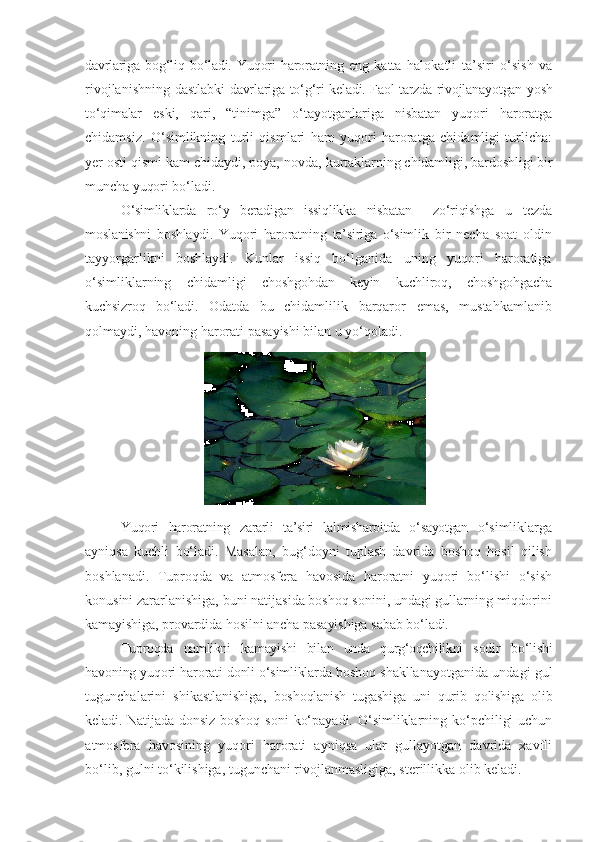 davrlariga   bog‘liq   bo‘ladi.   Yuqori   haroratning   eng   katta   halokatli   ta’siri   o‘sish   va
rivojlanishning   dastlabki   davrlariga   to‘g‘ri   keladi. Faol tarzda rivojlanayotgan yosh
to‘qimalar   eski,   qari,   “tinimga”   o‘tayotganlariga   nisbatan   yuqori   haroratga
chidamsiz.   O‘simlikning   turli   qismlari   ham   yuqori   haroratga   chidamligi   turlicha:
yer osti qismi kam chidaydi, poya, novda,  kurtaklarning chidamligi, bardoshligi bir
muncha yuqori bo‘ladi.
O‘simliklarda   ro‘y   beradigan   issiqlikka   nisbatan     zo‘riqishga   u   tezda
moslanishni   boshlaydi.   Yuqori   haroratning   ta’siriga   o‘simlik   bir   necha   soat   oldin
tayyorgarlikni   boshlaydi.   Kunlar   issiq   bo‘lganida   uning   yuqori   haroratiga
o‘simliklarning   chidamligi   choshgohdan   keyin   kuchliroq,   choshgohgacha
kuchsizroq   bo‘ladi.   Odatda   bu   chidamlilik   barqaror   emas,   mustahkamlanib
qolmaydi, havoning   harorati   pasayishi   bilan   u   yo‘qoladi.
Yuqori   haroratning   zararli   ta’siri   lalmisharoitda   o‘sayotgan   o‘simliklarga
ayniqsa   kuchli   bo‘ladi.   Masalan,   bug‘doyni   tuplash   davrida   boshoq   hosil   qilish
boshlanadi.   Tuproqda   va   atmosfera   havosida   haroratni   yuqori   bo‘lishi   o‘sish
konusini zararlanishiga, buni natijasida boshoq sonini, undagi gullarning miqdorini
kamayishiga, provardida hosilni ancha pasayishiga sabab bo‘ladi.
Tuproqda   namlikni   kamayishi   bilan   unda   qurg‘oqchilikni   sodir   bo‘lishi
havoning yuqori harorati donli o‘simliklarda boshoq  shakllanayotganida undagi gul
tugunchalarini   shikastlanishiga,   boshoqlanish   tugashiga   uni   qurib   qolishiga   olib
keladi. Natijada   donsiz boshoq soni  ko‘payadi. O‘simliklarning ko‘pchiligi  uchun
atmosfera   havosining   yuqori   harorati   ayniqsa   ular   gullayotgan   davrida   xavfli
bo‘lib, gulni to‘kilishiga, tugunchani rivojlanmasligiga, sterillikka olib keladi. 