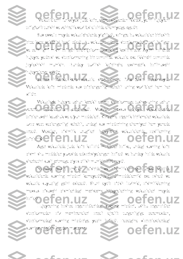  Vakuolalarni funksiyasi juda ko‘p, ammo shulardan ikkitasi, ya’ni hujayrani
to‘lg‘azib turishi va zahiralik vazifasi alohida ahamiyatga egadir.
Suv avvalo mayda vakuolchalarda yig‘iladi, so‘ngra bu vakuolalar birlashib
bitta  katta   vakuolni   hosil   qiladi.   Bu   vakuolni   odatda   sitoplazmadan   hosil   bo‘lgan
va  qalinligi   1  mkm   bo‘lgan   tolalr   (plazmodesmalar)   kesib   o‘tadi.  Ayrim   hollarda
hujayra   yadrosi   va   sitoplazmaning   bir   tomonida   vakuola   esa   ikkinchi   tomonida
joylashishi   mumkin.   Bunday   tuzilish   ko‘pincha   assimetrik   bo‘linuvchi
hujayralarga xosdir.
Barcha   hollarda   ham   vakuola   sitoplazmaga   fizik   ta’sir   o‘tkazmaydi.
Vakuolada   ko‘p   miqdorda   suv   to‘planganligi   sababli   uning   vazifalari   ham   har
xildir.
Vakuolada   hujayra   uchun   kerakli   ammo   sitoplazmaga   tushsa   uning   uchun
zararli   moddalar   ham   to‘planadi.   Masalan   maxsus   hujayra   vakuolalarida
to‘planuvchi kauchuk va afyun moddalari. Ko‘pgina organik birikmalar vakuolada
uzoq   vaqt   saqlanganligi   sababli,   undagi   suv   miqdorining   ahamiyati   ham   yanada
ortadi.   Masalan,   o‘simlik   urug‘lari   hujayralari   vakuolalarida   oqsillarning
to‘planishi.
Agar   vakuolada   juda   ko‘p   kolloid   moddalar   bo‘lsa,   undagi   suvning   ko‘p
qismi   shu   moddalar   yuzasida   adsorbsiyalangan   bo‘ladi   va   bunday   holda   vakuola
sharbatini suvli eritmaga qiyos qilish mumkin bo‘lmaydi.
Noqulay   muhit   omillari   ta’sirida   va   o‘simliklarning   qurishi   vaqtida
vakuolalarda   suvning   miqdori   kamayadi,   kolloid   moddalarniki   esa   oshadi   va
vakuola   suyuqligi   gelni   eslatadi.   Shuni   aytib   o‘tish   lozimki,   o‘simliklarning
maxsus   o‘suvchi   qismlaridagi   meristema   hujayralarining   vakuolalari   mayda
bo‘ladi.
Hujayraning   boshqa   organoidlaridagi   suvning   miqdori,   ushbu   organoidlar
sitoplazmadan   o‘z   membranalari   orqali   ajralib   turganligiga   qaramasdan,
sitoplazmadagi   suvning   miqdoriga   yaqin   bo‘ladi.   Faqatgina   xloroplastlardagi
suvning miqdori bundan mustasno. 