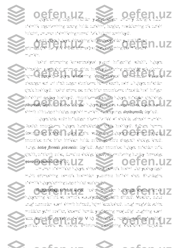 Hujayralarning   turgor   holatidan   yuzaga   kelgan   umumiy   taranglik   butun
o‘simlik   organizmining   tarang   holda   turishini,   barglar,   novdalarning   tik   turishi
holatini, umuman o‘simlikning normal fizik holatini taminlaydi. 
Agar hujayra hujayra shirasining konsentrasiyasidan yuqori bo‘lgan 
eritmaga (osh tuzi yoki shakar eritmasi) solinsa, turgorning aksini kuzatish 
mumkin.
Tashqi   eritmaning   konsentrasiyasi   yuqori   bo‘lganligi   sababli,   hujayra
shirasidan   suv   tashqi   eritmaga   chiqa   boshlaydi.   Buning   natijasida   vakuolaning
hajmi   kichrayib,   hujayra   shirasining   konsentrasiyasi   ortib   boradi.   Vakuola
qisqargan sari uni o‘rab turgan sitoplazma ham qisqarib, oxiri u hujayra po‘stidan
ajrala boshlaydi. Tashqi eritma esa po‘st bilan protoplazma o‘rtasida hosil bo‘lgan
bo‘shliqni   egallay   boshlaydi.   Protoplazma   qisqarib,   hujayra   po‘stidan   ajralishiga
plazmoliz   deyiladi. Plazmolizlangan hujayra yana toza suvga solinsa, u yana suvni
shimib olib turgor holatiga qaytishi mumkin. Bu jarayonga  deplazmoliz   deyiladi.
Hujayralarda  sodir  bo‘ladigan plazmoliz ikki  xil  shaklda  uchrashi  mumkin.
Dastlab   protoplazma   hujayra   burchaklaridan   ajrala   boshlaydi.   So‘ngra   hamma
devorlaridan   ajraladi.   Lekin   ancha   vaqtgacha   hujayraning   ayrim   joylarida
protoplast   po‘st   bilan   birikkan   holda   qoladi   va   botiq   chegarali   shaklga   kiradi.
Bunga   botiq   formali   plazmoliz   deyiladi.   Agar   protoplast   hujayra   po‘stidan   to‘la
ajralib,  to‘planib  qolsa,  dumaloq  shaklga  kiradi,  plazmolizning bunday  formasiga
qavariq plazmoliz  deyiladi.
Umuman   o‘simliklar   hujayra   shirasining   osmotik   bosimi   ular   yashayotgan
muhit   eritmasining   osmotik   bosimidan   yuqoriroq   bo‘lishi   shart.   Shundagina
o‘simlik hujayralarining turgor holati saqlanadi. 
Hujayraning   so‘rish   kuchi .   Tashqi   muhitdan   hujayraga   suvning   kirishi
hujayraning   kolloid   va   osmotik   xususiyatlaridan   kelib   chiqadi.   Masalan,   quruq
urug‘ tuproqdan suvni shimib bo‘rtadi, hajmi kattalashadi. Urug‘ mag‘zida zahira
moddalar   ya’ni   oqsillar,   kraxmal   hamda   yog‘larning   mavjudligi   urug‘ning   suvni
katta   kuch   bilan   tortishiga   (~100   MPa)   olib   keladi,   natijada   esa   urug‘   qobig‘i
yoriladi.   Ildizcha   va   boshqa   embrional   qismlarning   shakllanishi   natijasida 