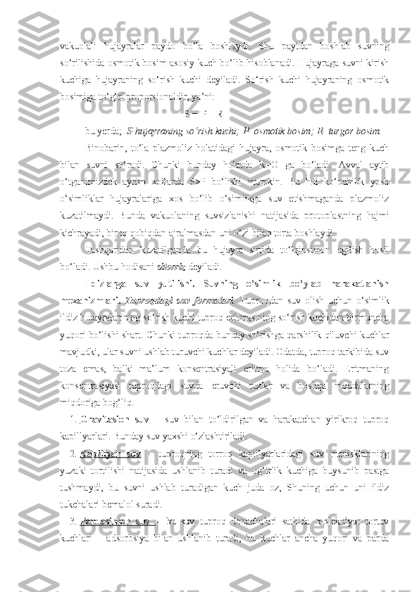 vakuolali   hujayralar   paydo   bo‘la   boshlaydi.   Shu   paytdan   boshlab   suvning
so‘rilishida osmotik bosim asosiy kuch bo‘lib hisoblanadi. Hujayraga suvni kirish
kuchiga   hujayraning   so‘rish   kuchi   deyiladi.   So‘rish   kuchi   hujayraning   osmotik
bosimiga to‘g‘ri proporsionaldir, ya’ni:
S = P – R
bu yerda;   S-hujayraning so‘rish kuchi; P- osmotik bosim; R- turgor bosim.
Binobarin,   to‘la   plazmoliz   holatidagi   hujayra,   osmotik   bosimga   teng   kuch
bilan   suvni   so‘radi.   Chunki   bunday   holatda   R=O   ga   bo‘ladi.   Avval   aytib
o‘tganimizdek   ayrim   xollarda   S>P   bo‘lishi   mumkin.   Bu   hol   ko‘pchilik   yosh
o‘simliklar   hujayralariga   xos   bo‘lib   o‘simlikga   suv   etishmaganda   plazmoliz
kuzatilmaydi.   Bunda   vakuolaning   suvsizlanishi   natijasida   protoplastning   hajmi
kichrayadi, biroq qobiqdan ajralmasdan uni o‘zi bilan torta boshlaydi.
Tashqaridan   kuzatilganda   bu   hujayra   sirtida   to‘lqinsimon   egilish   hosil
bo‘ladi. Ushbu hodisani  sitorriz  deyiladi.
Ildizlarga   suv   yutilishi.   Suvning   o‘simlik   bo‘ylab   harakatlanish
mexanizmlari.   Tuproqdagi   suv   formalari .   Tuproqdan   suv   olish   uchun   o‘simlik
ildiz hujayralarining so‘rish kuchi tuproq eritmasining so‘rish kuchidan birmuncha
yuqori bo‘lishi shart. Chunki tuproqda bunday so‘rishga qarshilik qiluvchi kuchlar
mavjudki, ular suvni ushlab turuvchi kuchlar deyiladi. Odatda, tuproq tarkibida suv
toza   emas,   balki   ma’lum   konsentrasiyali   eritma   holida   bo‘ladi.   Eritmaning
konsentrasiyasi   tuproqdagi   suvda   eruvchi   tuzlar   va   boshqa   moddalarning
miqdoriga bog‘liq.
1. Gravitasion   suv      –   suv   bilan   to‘ldirilgan   va   harakatchan   yirikroq   tuproq
kapillyarlari. Bunday suv yaxshi o‘zlashtiriladi.
2. Kapillyar   suv      –   tuproqning   torroq   kapillyarlaridagi   suv   menisklarining
yuzaki   tortilishi   natijasida   ushlanib   turadi   va   og‘irlik   kuchiga   buysunib   pastga
tushmaydi,   bu   suvni   ushlab   turadigan   kuch   juda   oz,   Shuning   uchun   uni   ildiz
tukchalari bemalol suradi.
3. Pardasimon   suv      –   bu   suv   tuproq   donachalari   sathida   molekulyar   tortuv
kuchlari   –   adsorbsiya   bilan   ushlanib   turadi,   bu   kuchlar   ancha   yuqori   va   parda 