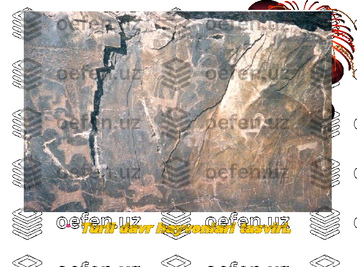 •Turli davr hayvonlari tasviri. 