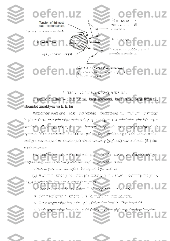 4-rasm. Tuproq suvlarining shakllari.
O‘simlik   omillari   –   ildiz   tizimi,   barg   maydoni,   barg   sathi,   barg   tuzilishi,
stomatol xaraktyeri va h. k. lar
Evapotranspiratsiya   yoki   iste’molda   foydalanish - bu   ma’lum   qismdagi
bug‘lanish   va   transpiratsiya   natijasidagi   yuqo-tilgan   suv   miqdorini   ajratish   qiyin
sanaladi.   SHuning   uchun,   bu   ikki   jarayon   birgalikda   evapo-traspiratsiya   (ET)
tyermini bilan nomlanadi. Bu ikki xil yo‘qotish, o‘simlikning o‘sishi uchun sarfla-
nadigan suv miqdori va shuningdek ularni umumiy (yig‘indi) suv iste’moli (SI) deb
atash mumkin. 
Suv   iste’moliga   o‘simlik   iste’mol   qilgan   barcha   suvlar,   va   o‘simlik   ekilgan
maydondagi tuproq va suv yuzasidan bug‘langan suvlar kiradi
Bilvosita yoki oldindan aytish (prognozli) yondoshuv:
(a)   Muhim   bosqich   yoki   fenologik   bosqich   yondoshuvi   –   ekinning   bir   yillik
o‘suv davrini to‘rt bosqichga ajratish mumkin
 Dastlabki bosqich:- ekishdan-10 % maydonni qoplaguncha. 
 ekin rivojlanish bosqichi: 10-70% maydonni qoplaguncha. 
 O‘rta vegetatsiya bosqichi: gullashdan don hosil bo‘lish bosqichi. 
 kech vegetatsiya bosqichi: pishishdan to o‘rim-yig‘imgacha davr bosqichi.Тупроқ эритмаси интерфейс
Тупроқ эритмаси
Сув (гигроскопик сув) Йўғон қатламнинг 
тарнглашиши – 1/3 
атмосфера
Капилляр сув
Гигроскопик коэффициенти 31 
атмосфера атрофида
Айрим энг кичик майда заррачалар 
оралиғидаги бўшлиқлардаги сувлар 
(гравитацион сув)  