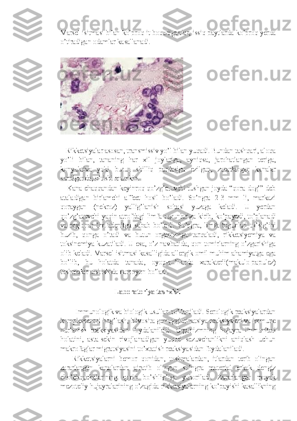 Marsel isitmasi bilan ko’proq it boqadiganlar, issiq paytlarda ko’proq yerda
o’tiradigan odamlar kasallanadi.
   Rikketsiyalar asosan, transmissiv yo’l bilan yuqadi. Bundan tashqari, aloqa
yo’li   bilan,   tananing   har   xil   joylariga,   ayniqsa,   jarohatlangan   teriga,
konyuktiva   yoki   burun   shilliq   pardasiga   ezilgan,   zararlangan   kanalar
surtilganda, o’tishi mumkin.
     Kana chaqqandan keyinroq qo’zg’atuvchi tushgan joyda “qora dog’” deb
ataladigan   birlamchi   affect   hosil   bo’ladi.   So’ngra   2-3   mm   li,   markazi
qoraygan   (nekroz)   yallig’lanish   sohasi   yuzaga   keladi.   U   yerdan
qo’zg’atuvchi yaqin atrofdagi limfa tugunlariga kirib, ko’payadi, to’planadi
va   regionar   limfadenitga   sabab   bo’ladi.   So’ngra,   limfa   tugunlari   to’sig’ini
buzib,   qonga   o’tadi   va   butun   organizmga   tarqaladi,   rikketsiyemiya   va
toksinemiya kuzatiladi. U esa, o’z navbatida, qon tomirlarning o’zgarishiga
olib keladi. Marsel isitmasi kasalligida allergik omil muhim ahamiyatga ega
bo’lib,   bu   holatda   tanada,   oyoq-qo’llarda   xarakterli(makulo-papulez)
toshmalar toshishida namoyon bo’ladi.
                               Laboratoriya tashxisi. 
        Immunologik va biologik usullar qo’llaniladi. Serologik reaksiyalardan
komplementni bog’lash, bilvosita gemagglutinatsiya reaksiyalari va immune
nurlanish   reaksiyasidan   foydalaniladi.   Organizmning   hujayra   immuniteti
holatini,   asta-sekin   rivojlanadigan   yuqori   sezuvchanlikni   aniqlash   uchun
makrofaglar migratsiyasini to’xtatish reaksiyasidan foydalaniladi. 
      Rikketsiyalarni   bemor   qonidan,   toshmalardan,   itlardan   terib   olingan
zararlangan   kanalardan   ajratib   olingan   so’ngra   material   erkak   dengiz
cho’chqachalarining   qorin   bo’shlig’iga   yuboriladi.   Zararlangan   moyak
mezoteliy hujayralarining o’zagida rikketsiyalarning ko’payishi kasallikning 