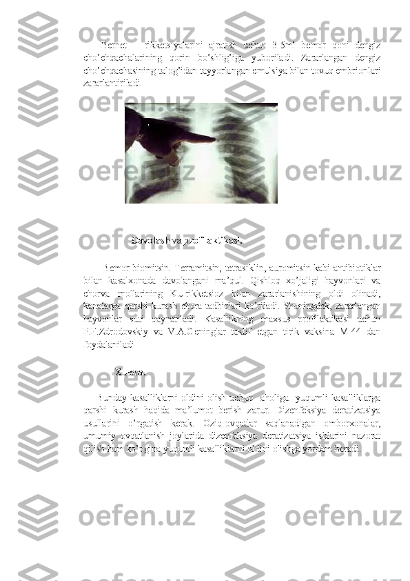       Bernet       rikketsiyalarini   ajratish   uchun   3-5ml   bemor   qoni   dengiz
cho’chqachalarining   qorin   bo’shlig’iga   yuboriladi.   Zararlangan   dengiz
cho’chqachasining talog’idan tayyorlangan emulsiya bilan tovuq embrionlari
zararlantiriladi.
          
                                 
                     Davolash va profilaktikasi.
            Bemor biomitsin. Terramitsin, tetrasiklin, auromitsin kabi antibiotiklar
bilan   kasalxonada   davolangani   ma’qul.   Qishloq   xo’jaligi   hayvonlari   va
chorva   mollarining   Ku-rikketsioz   bilan   zararlanishining   oldi   olinadi,
kanalarga   qarshi   kurash   chora-tadbirlari   ko’riladi.   Shuningdek,   zararlangan
hayvonlar   suti   qaynatiladi.   Kasallikning   maxsus   profilaktikasi   uchun
P.F.Zdrodovskiy   va   V.A.Geninglar   taklif   etgan   tirik   vaksina   M-44   dan
foydalaniladi
         Xulosa. 
 
  Bunday   kasalliklarni   oldini   olish   uchun     aholiga     yuqumli   kasalliklarga
qarshi   kurash   haqida   ma’lumot   berish   zarur.   Dizenfeksiya   deratizatsiya
usullarini   o’rgatish   kerak.   Oziq-ovqatlar   saqlanadigan   omborxonalar,
umumiy   ovqatlanish   joylarida   dizenfeksiya   deratizatsiya   ishlarini   nazorat
qilish ham ko’pgina yuqumli kasalliklarni oldini olishga yordam beradi.  