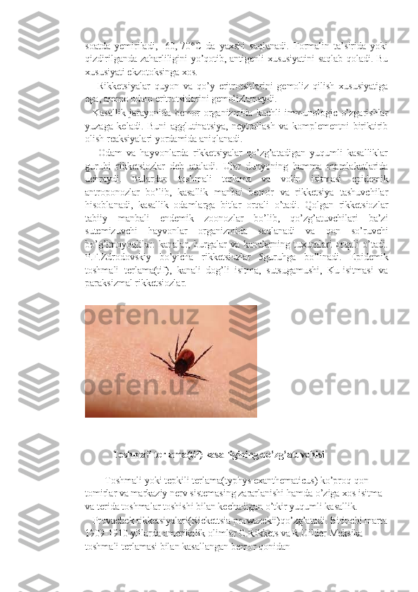 soatda   yemiriladi,   -60,-70*C   da   yaxshi   saqlanadi.   Formalin   ta’sirida   yoki
qizdirilganda zaharliligini yo’qotib, antigenli xususiyatini saqlab qoladi. Bu
xususiyati ekzotoksinga xos.
      Rikketsiyalar   quyon   va   qo’y   eritrotsitlarini   gemoliz   qilish   xususiyatiga
ega, ammo odam eritrotsitlarini gemolizlamaydi.
    Kasallik   jarayonida   bemor   organizmida   kuchli   immunologic   o’zgarishlar
yuzaga   keladi.   Buni   agglutinatsiya,   neytrallash   va   komplementni   biriktirib
olish reaksiyalari yordamida aniqlanadi.
      Odam   va   hayvonlarda   rikketsiyalar   qo’zg’atadigan   yuqumli   kasalliklar
guruhi   rikketsiozlar   deb   ataladi.   Ular   dunyoning   hamma   mamlakatlarida
uchraydi.   Bulardan   toshmali   terlama   va   volin   isitmasi   epidemik
antroponozlar   bo’lib,   kasallik   manbai   bemor   va   rikketsiya   tashuvchilar
hisoblanadi,   kasallik   odamlarga   bitlar   orqali   o’tadi.   Qolgan   rikketsiozlar
tabiiy   manbali   endemik   zoonozlar   bo’lib,   qo’zg’atuvchilari   ba’zi
sutemizuvchi   hayvonlar   organizmida   saqlanadi   va   qon   so’ruvchi
bo’g’imoyoqlilar:   kanalar,   burgalar   va   kanalarning   tuxumlari   orqali   o’tadi.
P.F.Zdrodovskiy   bo’yicha   rikketsiozlar   5guruhga   bo’linadi.   Epidemik
toshmali   terlama(tif),   kanali   dog’li   isitma,   sutsugamushi,   Ku-isitmasi   va
paraksizmal rikketsiozlar. 
           Toshmali terlama(tif) kasalligining qo’zg’atuvchisi
   
        Toshmali yoki tepkili terlama(typhys exanthematicus) ko’proq qon 
tomirlar va markaziy nerv sistemasing zararlanishi hamda o’ziga xos isitma 
va terida toshmalar toshishi bilan kechadigan o’tkir yuqumli kasallik.
   Provachek rikketsiyalari(Rickettsia prowazekii)qo’zg’atadi. Birinchi marta
1909-1910-yillarda amerikalik olimlar G.Rikkets va R.Uilder Meksika 
toshmali terlamasi bilan kasallangan bemor qonidan  