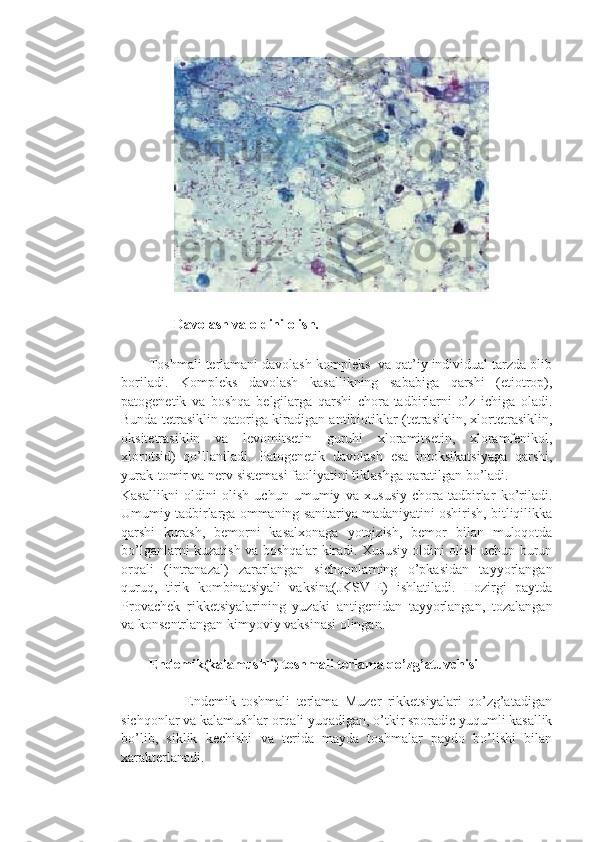                
                Davolash va oldini olish.
        Toshmali terlamani davolash kompleks  va qat’iy individual tarzda olib
boriladi.   Kompleks   davolash   kasallikning   sababiga   qarshi   (etiotrop),
patogenetik   va   boshqa   belgilarga   qarshi   chora-tadbirlarni   o’z   ichiga   oladi.
Bunda tetrasiklin qatoriga kiradigan antibiotiklar (tetrasiklin, xlortetrasiklin,
oksitetrasiklin   va   levomitsetin   guruhi   xloramitsetin,   xloramfenikol,
xlorotsid)   qo’llaniladi.   Patogenetik   davolash   esa   intoksikatsiyaga   qarshi,
yurak-tomir va nerv sistemasi faoliyatini tiklashga qaratilgan bo’ladi.
Kasallikni   oldini   olish   uchun   umumiy   va   xususiy   chora-tadbirlar   ko’riladi.
Umumiy tadbirlarga ommaning sanitariya madaniyatini oshirish, bitliqilikka
qarshi   kurash,   bemorni   kasalxonaga   yotqizish,   bemor   bilan   muloqotda
bo’lganlarni kuzatish va boshqalar kiradi. Xususiy oldini olish uchun burun
orqali   (intranazal)   zararlangan   sichqonlarning   o’pkasidan   tayyorlangan
quruq,   tirik   kombinatsiyali   vaksina(JKSV-E)   ishlatiladi.   Hozirgi   paytda
Provachek   rikketsiyalarining   yuzaki   antigenidan   tayyorlangan,   tozalangan
va konsentrlangan kimyoviy vaksinasi olingan.
        Endemik(kalamushli) toshmali terlama qo’zg’atuvchisi
  
                    Endemik   toshmali   terlama   Muzer   rikketsiyalari   qo’zg’atadigan
sichqonlar va kalamushlar orqali yuqadigan, o’tkir sporadic yuqumli kasallik
bo’lib,   siklik   kechishi   va   terida   mayda   toshmalar   paydo   bo’lishi   bilan
xarakterlanadi. 