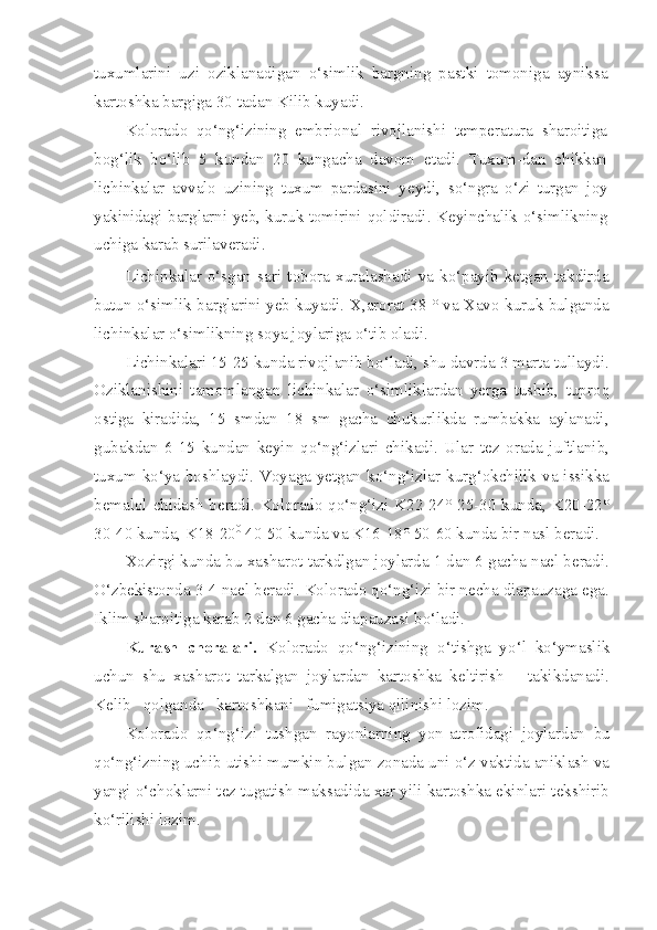 tuxumlarini   uzi   oziklanadigan   o‘simlik   bargning   pastki   tomoniga   ayniksa
kartoshka bargiga 30 tadan Kilib kuyadi.
Kolorado   qo‘ng‘izining   embrional   rivojlanishi   temperatura   sharoitiga
bo g‘ lik   bo‘lib   5   kundan   20   kungacha   davom   etadi.   Tuxum-dan   chikkan
lichinkalar   avvalo   uzining   tuxum   pardasini   yeydi,   s o‘ ngra   o‘ zi   turgan   joy
yakinidagi barglarni yeb, kuruk tomirini   q oldiradi. Keyinchalik o‘simlikning
uchiga karab surilaveradi.
Lichinkalar   o‘sgan   sari   tobora   xuralashadi   va   ko‘payib   ketgan   takdirda
butun o‘simlik barglarini yeb kuyadi.   X,arorat 38 ° va Xavo kuruk bulganda
lichinkalar o‘simlikning soya joylariga  o‘ tib oladi.
Lichinkalari 15-25 kunda rivojlanib b o‘ ladi, shu davrda 3 marta tullaydi.
Oziklanishini   tamomlangan   lichinkalar   o‘si mliklardan   yerga   tushib,   tupro q
ostiga   kiradida,   15   smdan   18   sm   gacha   chukurlikda   rumbakka   aylanadi,
gubakdan   6-15   kundan   keyin   qo‘ n g‘ izlari   chikadi.   Ular   tez   orada   juftlanib,
tuxum k o‘ ya boshlaydi. Voyaga yetgan k o‘ n g‘ izlar kur g‘ okchilik va issikka
bemalol chidash beradi. Kolorado qo‘ng‘izi K22-24° 25-30 kunda, K20-22°
30-40 kunda, K18-20 0
 40-50 kunda va K16-18° 50-60 kunda bir na s l beradi.
Xozirgi kunda bu xasharot tarkdlgan joylarda 1 dan 6 gacha nael beradi.
O‘zbekistonda 3-4 nael beradi. Kolorado qo‘ng‘izi bir necha diapauzaga ega.
Iklim sharoitiga karab 2 dan 6 gacha diapauzasi b o‘ ladi.
Kurash   choralari.   Kolorado   qo‘ng‘izining   o‘ tishga   y o‘ l   k o‘ ymaslik
uchun   shu   xasharot   tarkalgan   joylardan   kartoshka   keltirish       takikdanadi.
Kelib    q olganda   kartoshkani   fumigatsiya  qilinishi lozim.
Kolorado   qo‘ng‘izi   tushgan   rayonlarning   yon-atrofidagi   joy lardan   bu
qo‘ng‘izning uchib utishi mumkin bulgan zonada uni o‘z vaktida aniklash va
yangi o‘choklarni tez tugatish maksadida xar yili kartoshka ekinlari tekshirib
ko‘rilishi lozim. 