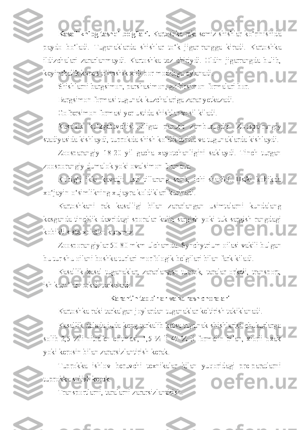 Kasalliknipg tash q i belgilari.   Kartoshka raki semiz shish lar k o‘ rinishida
paydo   b o‘ ladi.   Tuganaklarda   shishlar   t o‘ k   jigar-rangga   kiradi.   Kartoshka
ildizchalari   zararlanmaydi.   Kartoshka   tez   chiriydi.   Oldin   jigarrangda   bulib,
keyinchalik kora shilimshik xidi bor moddaga aylanadi.
Shishlarni barg s imon, parshasimon, gofrirsimon formalari bor.
Barg s imon formasi tugunak kuzchalariga zarar yetkazadi.
Gofrersimon formasi yer ustida shishlar xosil kiladi.
Kasallik   k o‘ zgatuvchisi-obligat   parazit   zamburugdir.   Zoospa-rangiy
stadiyasida kishlaydi, tuprokda shish koldikdarida va tugunaklarda kishlaydi.
Zoosparangiy   18-20   yil   gacha   xayotchanligini   saklaydi.   Tinch   turgan
zoosporangiy dumalok yoki ovalsimon formada.
Kobi g‘ i   ikki   kavatli:   usti   tillarang   sarik,   ichi-shaffof.   Ustki   kobikda
x o‘ jayin-o‘simlikning xujayra koldiklari kurinadi.
Kartoshkani   rak   kasalligi   bilan   zararlangan   usimtalarni   kundalang
kesganda  tinchlik  davridagi  sporalar  kalin  sargish  yoki  tuk  sargish  rangdagi
kobikli sista xolatini kuramiz.
Zoosporangiylar 50-80 mkm ulchamda.  Synchytrium  oilasi vakili bulgan
bu tur shu oilani boshka turlari-morfologik bel gilari bilan fark kiladi.
Kasallik   kasal   tuganaklar,   zararlangan   tuprok,   taralar   orkali,   transport,
ish kurollari orkali tarkaladi.
Karantin tadbirlar va kurash choralari
Kartoshka raki tarkalgan joylardan tuganaklar keltirish takiklanadi.
Kasallik dalada juda keng tarkalib ketsa tugunak shishlarini chukurlarga
solib   2,5   %li   nitrafen   eritmasi,   1,5   %   li   40   %   li   formalin   bilan,   xlorli   oxak
yoki kerosin bilan zararsizlantirish kerak.
Tuprokka   ishlov   beruvchi   texnikalar   bilan   yu q oridagi   pre-paratlarni
tuprokka solish kerak.
Transportlarni, taralarni zararsizlantirish. 