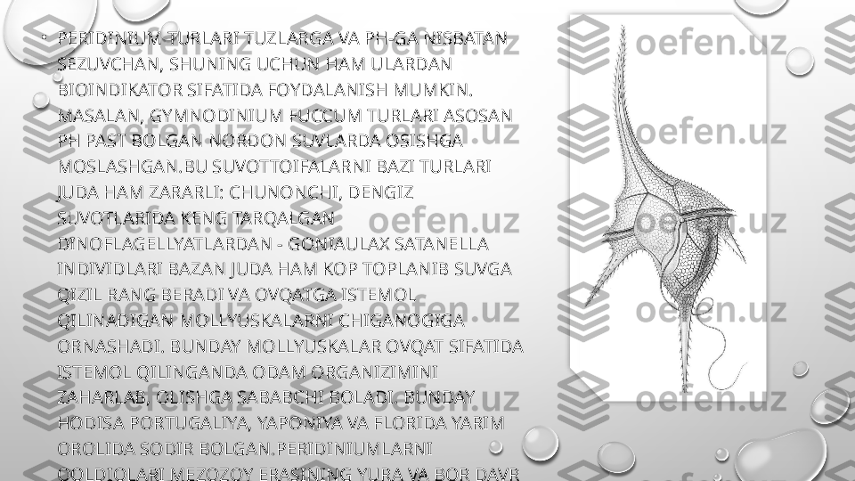 •
PERIDINIUM TURLARI TUZLARGA VA PH-GA NISBATAN 
SEZUVCHAN, SHUNING UCHUN HAM ULARDAN 
BIOINDIKATOR SIFATIDA FOYDALANISH MUMKIN. 
MASALAN, GYMNODINIUM FUCCUM TURLARI ASOSAN 
PH PAST BOLGAN NORDON SUVLARDA OSISHGA 
MOSLASHGAN.BU SUVOTTOIFALARNI BAZI TURLARI 
JUDA HAM ZARARLI: CHUNONCHI, DENGIZ 
SUVOTLARIDA KENG TARQALGAN 
DINOFLAGELLYATLARDAN - GONIAULAX SATANELLA 
INDIVIDLARI BAZAN JUDA HAM KOP TOPLANIB SUVGA 
QIZIL RANG BERADI VA OVQATGA ISTEMOL 
QILINADIGAN MOLLYUSKALARNI CHIGANOGIGA 
ORNASHADI. BUNDAY MOLLYUSKALAR OVQAT SIFATIDA 
ISTEMOL QILINGANDA ODAM ORGANIZIMINI 
ZAHARLAB, OLISHGA SABABCHI BOLADI. BUNDAY 
HODISA PORTUGALIYA, YAPONIYA VA FLORIDA YARIM 
OROLIDA SODIR BOLGAN.PERIDINIUMLARNI 
QOLDIQLARI MEZOZOY ERASINING YURA VA BOR DAVR 
QATLAMLARIDA TOPILGAN.  