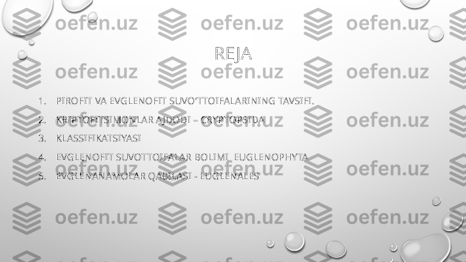 RE JA
1. PIROFIT VA EVGLENOFIT SUVO‘TTOIFALARINING TAVSIFI.
2. KRIPTOFITSIMONLAR AJDODI – CRYPTOPSIDA
3. KLASSIFIKATSIYASI 
4. EVGLENOFIT SUVOTTOIFALAR BOLIMI  EUGLENOPHYTA
5. EVGLENANAMOLAR QABILASI - EUGLENALES 