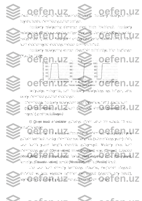 o‘sadi.   Yopi q   urug‘lilar   katta   taksonlarini   orasida   fotodavriy   reaksiyalari   tipi
b q yicha barcha o‘simliklar g u ru h lari topilgan.
Fotodavriy   reksiyaning   elementar   q ismi   biotip   h isoblanadi.   Fotodavriy
reaksiyalarda genetik xususiyatlar, poligen  ma vjud va ular gibridizatsiyada nasldan
naslga   o‘tadi.   Qisqa   kun   reaksiyasini   ani q laydigan   genlar   retsessiv   bo‘ladi.   U zo q
kunli shakllar neytral shakllarga nisbatan dominant bo‘ladi.
Fotodavriy   reaksiyaning   spontan   o‘zgarilishi   poliploidiya   bilan   bog‘langan
(Yusufov, 1995).
Evolyutsiya   mobaynida,   turli   fotodavriy   reaksiyalarga   ega   bo‘lgan,   uchta
asosiy o‘simliklar guru h lari shakllangan.
1)   Qisq a   kunli   o‘simliklar   gullashga   o‘tish i   uchun   bir   sutkada   12   soat
yorug‘lik k e rak. 
Kun   uzunligi   12   soatdan   ko‘pro q   bo‘lsa   o‘simliklar   gullaymaydi   yoki
gullashi   kechikadi.Bunday o‘simliklar past   ke nglikda (subtropiklarga ya q in) o‘sib,
uzun   kunlik   yuqori   ke nglik   sharoitida   gullaymaydi.   Madaniy   qisqa   kunli
o‘simliklarga   guruch   ( Oryza   sativa),   proso   (Panicum),   soya   (Glycine),   dukkaklar
(Vicia   faba),   piyoz   (Allium   syora),   lavlagi   (Beta   vulgaris),   go‘za   (Gossypium),
konoplya  (Cannabis sativa),  tamaki ( Nicotiana ), perilla  (Perilla)  kiradi.
Ular   uzun   kunli   shimoliy   kenliklarga   o‘tkazilsa,   rivojlanishi   o‘zgaradi:
cho‘ziladi   va   katta   vegetativ   og‘irlikni   rivojlantiradi   (gigantlik   ro‘y   beradi),
keyinchalik ular gullaydi yoki umuman gullamasligi ham mumkin. O‘simliklarda fotodavriy reaksiyalarni tiplari ( Moshkov, 1961 ).  A  kalta kunli
(pyorillada   Perilla);   B   -   uzunkunli   (ismalokda   shpinata   Spinacia);   V   -
neytral ( gorchitsada Sinapis) 