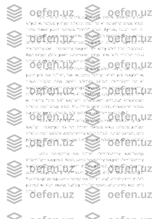 Yana   misollar.   Erta   bahorda   quyosh   juda   qizdirsa   daraxtlarning   pusti
ko‘yadi   va   natijada   yorilgan   po‘stloq   orqali   har   xil   patogenlar   tanaga   kiradi.
Tomat   mevasi   yuqori   haroratda   “pishib”   qoladi.   Ayniqsa,   bulutli   nam   ob-
havodan keyin quyosh keskin qizdirsa. Bu holat g‘alla ekinlarida ham kuzatiladi,
dehqonlar   “bulutning   tagidan   chiqqan   quyoshdan   qo‘rqgin”   deyishadi.   Bu
misollarning   aksi   –   haroratning   pasayishi   ham   salbiy   ta’siri   bilan   ifodalanadi.
Agar   ekilgan   g‘alla   yaxshi   tuplamasdan   qishga   kirsa   ko‘p   nihollari   nobud
bo‘lishi mumkin. Ayniqsa, qish kam qor bo‘lsa.
Bu   bevosita   iqlim   sharoitlarining   salbiy   ta’siri.   Lekin,   havo   harorati
yuqori   yoki   past   bo‘lishi,   havo   va   tuproq   namligi   oshishi   yoki   pasayishi   va
hokazo   holatlar   o‘ziga   tegishli   ta’siridan   tashqari   o‘simliklarni   har   xil
kasalliklarga moyilligini ham belgilaydi. Masalan,  erta bahordagi daraxtlarning
po‘sti  ko‘yishi keyinchalik xilma-xil patogenlarga qulay sharoit yaratadi. Olma
va   nokning   “qora   rak”   kasalligini   qo‘zg‘atuvchi   zamburug‘   shikastlangan
po‘stloq   orqali   tanaga   kiradi.   Shu   o‘rinda   aytish   joizki,   shikastlanish   nafaqat
quyoshdan kuyish oqibatida, balki qattiq sovuqdan ham paydo bo‘ladi.
Yana sovuq to‘g‘risida. Tokning va ko‘pgina mevali daraxtlarning havfli
kasalligi   –   bakteriyali   rak   ham   birinchi   navbatda   sovuq   oqibatida   yorilgan
po‘stloq orqali dastlabki zararlanishning sababi bo‘ladi. Bundan tashqari, ochiq
yara paydo bo‘lgandan keyin unga boshqa har xil parazitlar va zararkunandalar
xujum qiladi.
Tuproq   haroratining   past   bo‘lishi   o‘simliklarining   kasalliklariga
chidamliligini susaytiradi. Sabab, tuproq haroratining pasayishi o‘simliklarining
kasalliklarga   moyil   bo‘lgan   davrni   cho‘zib   yuboradi.   Masalan,   bug‘doyning
qattiq   qorakuya   kasalligi   o‘simliklarni   urug‘   unib   chiqish   fazasida   zararlaydi.
Yuqorida aytilganday, tuproq harorati past bo‘lishi urug‘ unib chiqishini cho‘zib
yuboradi   va   shuni   evaziga   bug‘doy   nihollari   parazit   uchun   ancha   vaqt   ochiq
bo‘ladi. 