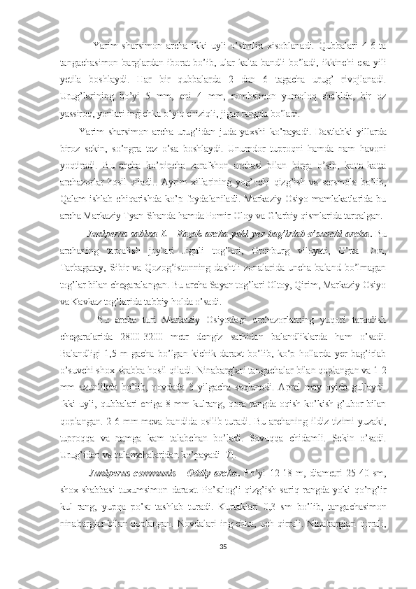                 Yarim   sharsimon   archa   ikki   uyli   o’simlik   xisoblanadi.   Qubbalari   4-6   ta
tangachasimon barglardan iborat bo’ib, ular  kalta bandli  bo’ladi, ikkinchi esa  yili
yetila   boshlaydi.   Har   bir   qubbalarda   2   dan   6   tagacha   urug’   rivojlanadi.
Urug’larining   bo’yi   5   mm,   eni   4   mm,   rombsimon   yumoloq   shaklda,   bir   oz
yassiroq, yonlari ingichka o’yiq chiziqli, jigar rangda bo’ladi.
          Yarim   sharsimon   archa   urug’idan   juda   yaxshi   ko’payadi.   Dastlabki   yillarda
biroz   sekin,   so’ngra   tez   o’sa   boshlaydi.   Unumdor   tuproqni   hamda   nam   havoni
yoqtiradi.   Bu   archa   ko’pincha   zarafshon   archasi   bilan   birga   o’sib,   katta-katta
archazorlar   hosil   qiladi. .   Ayrim   xillarining   yog’ochi   qizg’ish   va   sersmola   bo’lib,
Qalam   ishlab   chiqarishda   ko’p   foydalaniladi.   Markaziy   Osiyo   mamlakatlarida   bu
archa Markaziy Tyan-Shanda hamda Pomir-Oloy va  G’arbiy  qismlarida tarqalgan. 
                Juniperus  sabina L - Kazak archa yoki  yer  bag’irlab o’suvchi archa .   Bu
archaning   tarqalish   joylari   Jiguli   tog’lari,   Orenburg   viloyati,   O’rta   Don,
Tarbagatay,  Sibir   va  Qozog’istonning  dashtli  zonalarida  uncha   baland  bo’lmagan
tog’lar bilan chegaralangan. Bu archa Sayan tog’lari Oltoy, Qirim, Markaziy Osiyo
va Kavkaz tog’larida tabbiy holda o’sadi.
            Bu   archa   turi   Markaziy   Osiyodagi   archazorlarning   yuqori   tarqalish
chegaralarida   2800-3200   metr   dengiz   sathidan   balandliklarda   ham   o’sadi.
Balandligi   1,5   m   gacha   bo’lgan   kichik   daraxt   bo’lib,   ko’p   hollarda   yer   bag’irlab
o’suvchi shox-shabba hosil qiladi. Ninabarglari tangachalar bilan qoplangan va 1-2
mm   uzunlikda   bo’lib,   novdada   3   yilgacha   saqlanadi.   Aprel   may   oyida   gullaydi.
Ikki   uyli,   qubbalari   eniga   8   mm   kulrang,   qora   rangda   oqish-ko’kish   g’ubor   bilan
qoplangan. 2-6 mm  meva bandida osilib turadi . Bu archaning ildiz tizimi yuzaki,
tuproqqa   va   namga   kam   talabchan   bo’ladi.   Sovuqqa   chidamli.   Sekin   o’sadi.
Urug’idan va qalamchalaridan ko’payadi [7].
                J uniperus   communis   -   Oddiy   archa .   Bo ’ yi   12-18   m,   diametri   25-40   sm,
shox-shabbasi   tuxumsimon   daraxt.   Po’stlog’i   qizg’ish   sariq   rangda   yoki   qo’ng’ir
kul   rang,   yupqa   po’st   tashlab   turadi.   Kurtaklari   0,3   sm   bo ’ lib,   tangachasimon
ninabarglar  bilan  qoplangan.   Novdalari  ingichka,   uch  qirrali.  Ninabarglari  qirrali,
35  
  