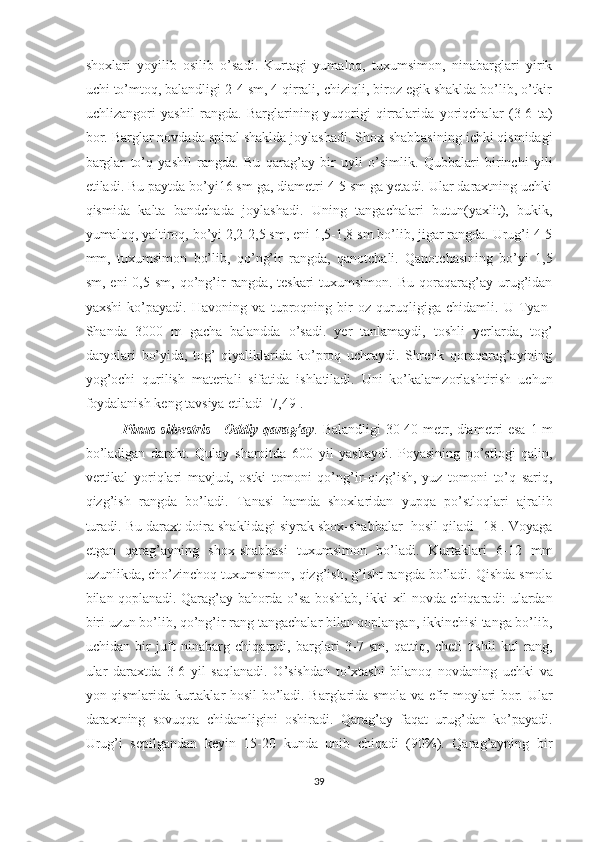 shoxlari   yoyilib   osilib   o’sadi.   Kurtagi   yumaloq,   tuxumsimon,   ninabarglari   yirik
uchi to’mtoq, balandligi 2-4 sm, 4 qirrali, chiziqli, biroz egik shaklda bo’lib, o’tkir
uchlizangori   yashil   rangda.   Barglarining   yuqorigi   qirralarida   yoriqchalar   (3-6   ta)
bor. Barglar novdada spiral shaklda joylashadi. Shox-shabbasining ichki qismidagi
barglar   to’q   yashil   rangda.   Bu   qarag’ay   bir   uyli   o’simlik.   Qubbalari   birinchi   yili
etiladi. Bu paytda bo’yi16 sm ga, diametri 4-5 sm ga yetadi. Ular daraxtning uchki
qismida   kalta   bandchada   joylashadi.   Uning   tangachalari   butun(yaxlit),   bukik,
yumaloq, yaltiroq, bo’yi 2,2-2,5 sm, eni 1,5-1,8 sm bo’lib, jigar rangda. Urug’i 4-5
mm,   tuxumsimon   bo’lib,   qo’ng’ir   rangda,   qanotchali.   Qanotchasining   bo’yi   1,5
sm,  eni  0,5  sm,   qo’ng’ir  rangda,  teskari   tuxumsimon.   Bu  qoraqarag’ay   urug’idan
yaxshi   ko’payadi.   Havoning   va   tuproqning   bir   oz   quruqligiga   chidamli.   U   Tyan-
Shanda   3000   m   gacha   balandda   o’sadi.   yer   tanlamaydi,   toshli   yerlarda,   tog’
daryolari   bo’yida,   tog’   qiyaliklarida   ko’proq   uchraydi.   Shrenk   qoraqarag’ayining
yog’ochi   qurilish   materiali   sifatida   ishlatiladi.   Uni   ko’kalamzorlashtirish   uchun
foydalanish keng tavsiya etiladi [7,49].
               P inus silvestris   -   Oddiy qara g’ ay .   B alandligi   30-40 m etr , diametri   esa   1 m
bo ’ l adigan   dara h t.   Qulay   sharoitda   600   yil   yashaydi.   Poyasining   po’stlogi   qalin,
vertikal   yoriqlari   mavjud,   ostki   tomoni   qo’ng’ir-qizg’ish,   yuz   tomoni   to’q   sariq,
qizg’ish   rangda   bo’ladi.   Tanasi   hamda   shoxlaridan   yupqa   po’stloqlari   ajralib
turadi. Bu daraxt doira shaklidagi siyrak shox-shabbalar  hosil qiladi [18]. Voyaga
etgan   qarag’ayning   shox-shabbasi   tuxumsimon   bo’ladi.   Kurtaklari   6-12   mm
uzunlikda, cho’zinchoq tuxumsimon, qizg’ish, g’isht rangda bo’ladi. Qishda smola
bilan qoplanadi. Qarag’ay bahorda o’sa boshlab, ikki xil novda chiqaradi: ulardan
biri uzun bo’lib, qo’ng’ir rang tangachalar bilan qoplangan, ikkinchisi tanga bo’lib,
uchidan   bir   juft   ninabarg   chiqaradi,   barglari   3-7   sm,   qattiq,   cheti   tishli   kul   rang,
ular   daraxtda   3-6   yil   saqlanadi.   O’sishdan   to’xtashi   bilanoq   novdaning   uchki   va
yon qismlarida kurtaklar hosil bo’ladi. Barglarida smola va efir moylari bor. Ular
daraxtning   sovuqqa   chidamligini   oshiradi.   Qarag’ay   faqat   urug’dan   ko’payadi.
Urug’i   sepilgandan   keyin   15-20   kunda   unib   chiqadi   (90%).   Qarag’ayning   bir
39  
  