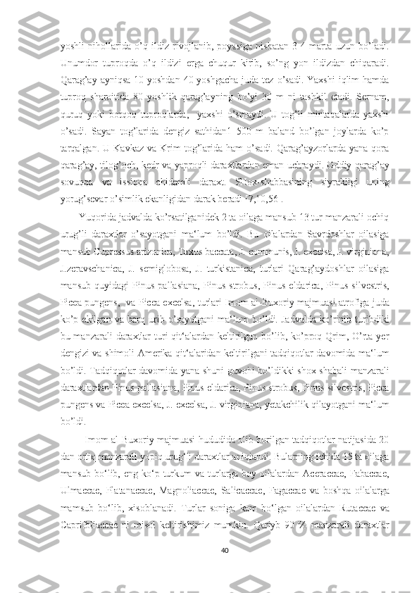 yoshli   nihollarida   o’q   ildiz   rivojlanib,   poyasiga   nisbatan   3-4   marta   uzun   bo’ladi.
Unumdor   tuproqda   o’q   ildizi   erga   chuqur   kirib,   so’ng   yon   ildizdan   chiqaradi.
Qarag’ay  ayniqsa 10 yoshdan  40 yoshgacha  juda tez o’sadi. Yaxshi  iqlim  hamda
tuproq   sharoitida   80   yoshlik   qarag’ayning   bo’yi   30   m   ni   tashkil   etadi.   Sernam,
quruq   yoki   botqoq   tuproqlarda,     yaxshi   o’smaydi.   U   tog’li   mintaqalarda   yaxshi
o’sadi.   Sayan   tog’larida   dengiz   sathidan1   500   m   baland   bo’lgan   joylarda   ko’p
tarqalgan.   U   Kavkaz   va   Krim   tog’larida  ham   o’sadi.   Qarag’ayzorlarda  yana   qora
qarag’ay, tilog’och, kedr va yaproqli daraxtlardan eman uchraydi. Oddiy qarag’ay
sovuqqa   va   issiqqa   chidamli   daraxt.   SHox-shabbasining   siyrakligi   uning
yorug’sevar o’simlik ekanligidan darak beradi [7,10,56].
       Yuqorida jadvalda ko’rsatilganidek 2 ta oilaga mansub 13 tur manzarali ochiq
urug’li   daraxtlar   o’sayotgani   ma‘lum   bo’ldi.   Bu   oilalardan   Savrdoshlar   oilasiga
mansub Cupressus arizonica, Taxus baccata, J. communis, J. excelsa, J. virginiana,
J.zeravschanica,   J.   semiglobosa,   J.   turkistanica,   turlari   Qarag’aydoshlar   oilasiga
mansub   quyidagi   Pinus   pallasiana,   Pinus   strobus,   Pinus   eldarica,   Pinus   silvestris,
Picea pungens,   va Picea excelsa,   turlari   Imom al-Buxoriy majmuasi atrofiga juda
ko’p   ekilgan   va   barq   urib   o’sayotgani   ma‘lum   bo’ldi.   Jadvalda   ko’rinib   turibdiki
bu manzarali  daraxtlar  turi  qit‘alardan keltirilgan  bo’lib, ko’proq Qrim, O’rta yer
dengizi va shimoli Amerika qit‘alaridan keltirilgani tadqiqotlar davomida ma‘lum
bo’ldi. Tadqiqotlar davomida yana shuni guvohi bo’ldikki shox-shabali manzarali
daraxtlardan Pinus pallasiana, Pinus eldarica, Pinus strobus, Pinus silvestris, Picea
pungens va Picea excelsa, J. excelsa, J. virginiana, yetakchilik qilayotgani ma‘lum
bo’ldi.
               Imom al-Buxoriy majmuasi hududida olib borilgan tadqiqotlar natijasida 20
dan ortiq manzarali yopiq urug‘li daraxtlar aniqlandi. Bularning ichida 15 ta oilaga
mansub  bo‘lib,  eng ko‘p  turkum  va  turlarga  boy oilalardan  Aceraceae,  Fabaceae,
Ulmaceae,   Platanaceae,   Magnoliaceae,   Salicaceae,   Fagaceae   va   boshqa   oilalarga
mamsub   bo‘lib,   xisoblanadi.   Turlar   soniga   kam   bo‘lgan   oilalardan   Rutaceae   va
Caprifoliaceae   ni   misol   keltirishimiz   mumkin.   Qariyb   90   %   manzarali   daraxtlar
40  
  