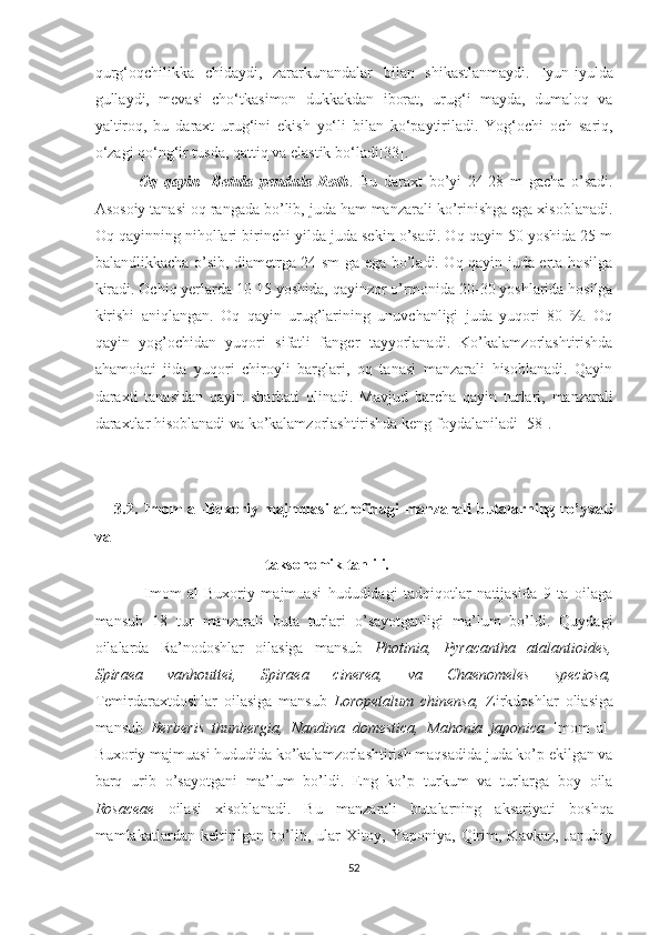 qurg‘oqchilikka   chidaydi,   zararkunandalar   bilan   shikastlanmaydi.   Iyun-iyulda
gullaydi,   mevasi   cho‘tkasimon   dukkakdan   iborat,   urug‘i   mayda,   dumaloq   va
yaltiroq,   bu   daraxt   urug‘ini   ekish   yo‘li   bilan   ko‘paytiriladi.   Yog‘ochi   och   sariq,
o‘zagi qo‘ng‘ir tusda, qattiq va elastik bo‘ladi[33].
              Oq   qayin-   Betula   pendula   Roth .   Bu   daraxt   bo’yi   24-28   m   gacha   o’sadi.
Asosoiy tanasi oq rangada bo’lib, juda ham manzarali ko’rinishga ega xisoblanadi.
Oq qayinning nihollari birinchi yilda juda sekin o’sadi. Oq qayin 50 yoshida 25 m
balandlikkacha o’sib, diametrga 24 sm ga ega bo’ladi. Oq qayin juda erta hosilga
kiradi. Ochiq yerlarda 10-15 yoshida, qayinzor o’rmonida 20-30 yoshlarida hosilga
kirishi   aniqlangan.   Oq   qayin   urug’larining   unuvchanligi   juda   yuqori   80   %.   Oq
qayin   yog’ochidan   yuqori   sifatli   fanger   tayyorlanadi.   Ko’kalamzorlashtirishda
ahamoiati   jida   yuqori   chiroyli   barglari,   oq   tanasi   manzarali   hisoblanadi.   Qayin
daraxti   tanasidan   qayin   sharbati   olinadi.   Mavjud   barcha   qayin   turlari,   manzarali
daraxtlar hisoblanadi va ko’kalamzorlashtirishda keng foydalaniladi [58]. 
       3.2.   Imom al-Buxoriy majmuasi atrofidagi manzarali butalarning ro’yxati
va
                                            taksonomik tahlili. 
                Imom   al-Buxoriy   majmuasi   hududidagi   tadqiqotlar   natijasida   9   ta   oilaga
mansub   18   tur   manzarali   buta   turlari   o’sayotganligi   ma’lum   bo’ldi.   Quydagi
oilalarda   Ra’nodoshlar   oilasiga   mansub   Photinia,   Pyracantha   atalantioides,
Spiraea   vanhouttei,   Spiraea   cinerea,   va   Chaenomeles   speciosa,
Temirdaraxtdoshlar   oilasiga   mansub   Loropetalum   chinensa,   Zirkdoshlar   oliasiga
mansub   Berberis   thunbergia,   Nandina   domestica,   Mahonia   japonica   Imom   al-
Buxoriy majmuasi hududida ko’kalamzorlashtirish maqsadida juda ko’p ekilgan va
barq   urib   o’sayotgani   ma’lum   bo’ldi.   Eng   ko’p   turkum   va   turlarga   boy   oila
Rosaceae   oilasi   xisoblanadi.   Bu   manzarali   butalarning   aksariyati   boshqa
mamlakatlardan   keltirilgan   bo’lib,   ular   Xitoy,   Yaponiya,   Qirim,   Kavkaz,   Janubiy
52  
  