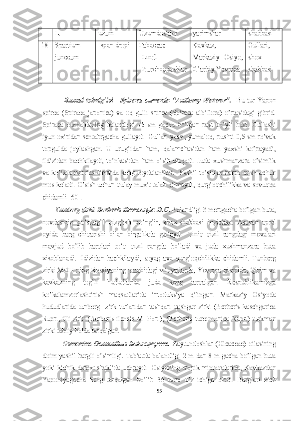 L. uzum Uzumdoshlar yarimshar shabbasi
18 Spartium
junceum Ispan dropi Fabaceae
Lindl 
Burchoqdoshlar Kavkaz,
Markaziy   Osiyo,
G’arbiy Yevropa Gullari,
shox-
shabbasi
                 Bumal  tobulg’isi  - Spiraea bumalda “Anthony Waterer”.     Bu tur  Yapon
spirea   (Spiraea   japonica)   va   oq   gulli   spirea   (Spiraea   albiflora)   o’rtasidagi   gibrid.
Spiraea   Bumaldaning   balandligi   75   sm   gacha   bo’lgan   past   bo’yli   buta.   Gullashi
iyun oxiridan sentabrgacha gullaydi. Gullari yassi, yumaloq, pushti 0,5 sm ro’vak
topgulda   joylashgan.   U   urug’idan   ham,   qalamchasidan   ham   yaxshi   ko’payadi,
ildizidan   bachkilaydi,   to’nkasidan   ham   o’sib   chiqadi.   Juda   xushmanzara   o’simlik
va ko’kalamzorlashtirishda  keng foydalaniladi. Yashil  to’siqlar  barpo etish uchun
mos keladi. O’sish uchun qulay muxit talab qilmaydi, qurg’oqchilikka va sovuqqa
chidamli [60].  
        Tunberg zirki-Berberis thunbergia D.C .  Balandligi 3 mertgacha bo’lgan buta,
novdasinig   po’stlog’I   qizg’ish   qo’ng’ir,   shox-shabbasi   ingichka.   Asosan   aprel
oyida   barg   chiqarishi   bilan   birgalikda   gullaydi.   Tiniq   qizil   rangdagi   mevalari
mavjud   bo’lib   barqlari   to’q   qizil   rangda   bo’ladi   va   juda   xushmanzara   buta
xisoblanadi.   Ildizidan   bachkilaydi,   soyag   ava   qurg’oqchilikka   chidamli.   Tunberg
zirki  MDH  ning Rossiyaning  janubidagi  viloyatlarda, Yevropa qismida, Qirim  va
kavkazning   tog’li   hududlarida   juda   keng   tarqalgan.   Respublikamizga
ko’kalamzorlashtirish   maqsadlarida   intoduksiya   qilingan.   Markaziy   Osiyoda
hududlarida   tunberg     zirk   turlaridan   tashqari   qashgar   zirki   (Berberis   kaschgarica
Rupr.,  illi   zirki   (Berberis   ilensis   M.   Pop.),  (Berberis   turcomanica   Rupr.)   turkman
zirki tabiiy holda tarqalgan.
                Osmantus-Osmanthus   heterophyllus.   Zaytundoshlar   (Oleaceae)   oilasining
doim yashil bargli o’simligi. Tabiatda balandligi 2 m dan 8 m gacha bo’lgan buta
yoki kichik daraxt  shaklida uchraydi. Osiyoning tropik mintaqalarida, Kavkazdan
Yaponiyagacha   keng   tarqalgan   bo’lib   36   turni   o’z   ichiga   oladi.   Barglari   zich
55  
  