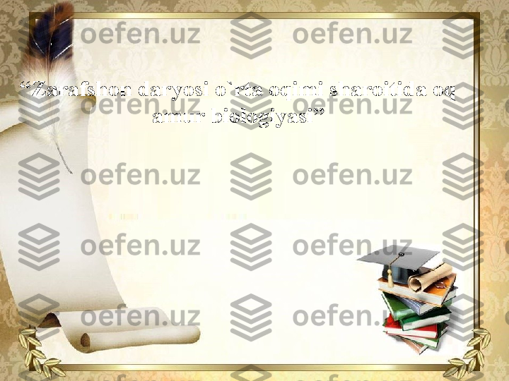 “ Zarafshon daryosi o`rta oqimi sharoitida oq 
amur biologiyasi”  