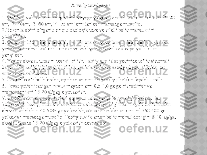 Amaliy tavsiyalar
1.Nasl beruvchi oq amurning vaqtli voyaga yetgan, serpusht zotlarni tanlash: l1=20 
sm, l2=40sm, l3=60 sm, l4=75 sm larni tanlash maqsadga muvofiq.
2.Bozor talabini o’rganib chiqib ekologik toza va sifatli baliq mahsulotini 
yetishtirish.
3. Oq amur 150 ming chavoqni, har bir ona oq amur beradi. Iloji boricha yanada 
yanada sermahsul zotlarni tanlash va eskirgan zotlarni seleksiya yo’li bilan 
yangilash.
4. Yaylov akvakulturasini tashkil qilish. Tabiiy suvliklar yaqinida to’liq sistemali 
baliqchilik xo’jaligini tashkil qilish. Baliqlantirishda asosiy obyekt sifatida  oq 
amurni tanlash lozim.
5. O’simlikxo’r baliqlardan, ayniqsa oq amur iqtisodiy jihatdan foydali turdir.
6. Tovar yetishtiradigan hovuz maydonlarni 0,5-1,0 ga ga qisqartirish va 
mahsuldorlikni 15-20 st/gag a yetkazish.
7. Uvildiriqdan chavoq chiqishi oq amur uchun 24,5 % ga to’g’ri keladi. Bu 
ko’rsatkich hozirgi intensiv akvakultura sharoitiga to’g’ri kelmaydi. Uvildiriqdan 
chavoq chiqishini 40-50% ga yetkazish, ota-ona nasldor oq amurni 350-400 ga 
yetkazish maqsadga muvofiq. Tabiiy suvliklardan baliq mahsuldorligini 8-10 kg/ga, 
akvakulturada 15-20 st/gag a yetkazish davr talabi.  