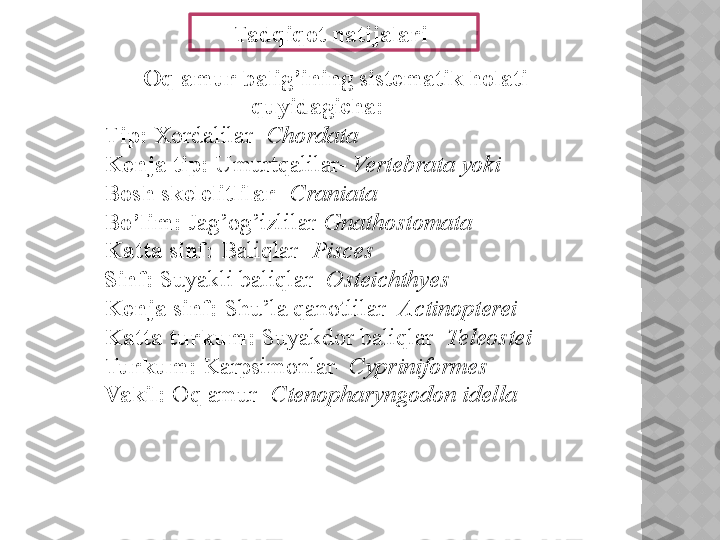        Tadqiqot natijalari
Oq amur balig’ining sistematik holati 
quyidagicha:
Tip:  Xordalilar-  Chordata
Kenja tip:  Umurtqalilar-  Vertebrata yoki
Bosh skelelitlilar -  Craniata 
Bo’lim:  Jag’og’izlilar- Gnathostomata
Katta sinf:  Baliqlar-  Pisces
Sinf:  Suyakli baliqlar-  Osteichthyes
Kenja sinf:  Shu’la qanotlilar-  Actinopterei
Katta turkum:  Suyakdor baliqlar-  Teleostei
Turkum:  Karpsimonlar-  Cypriniformes
Vakil:  Oq amur-  Ctenopharyngodon idella    