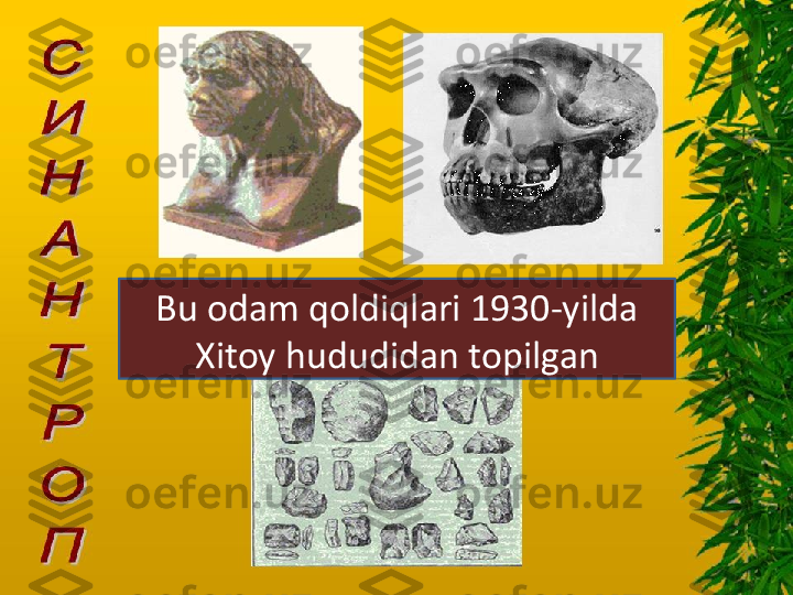 Bu odam qoldiqlari 1930-yilda 
Xitoy hududidan topilgan 