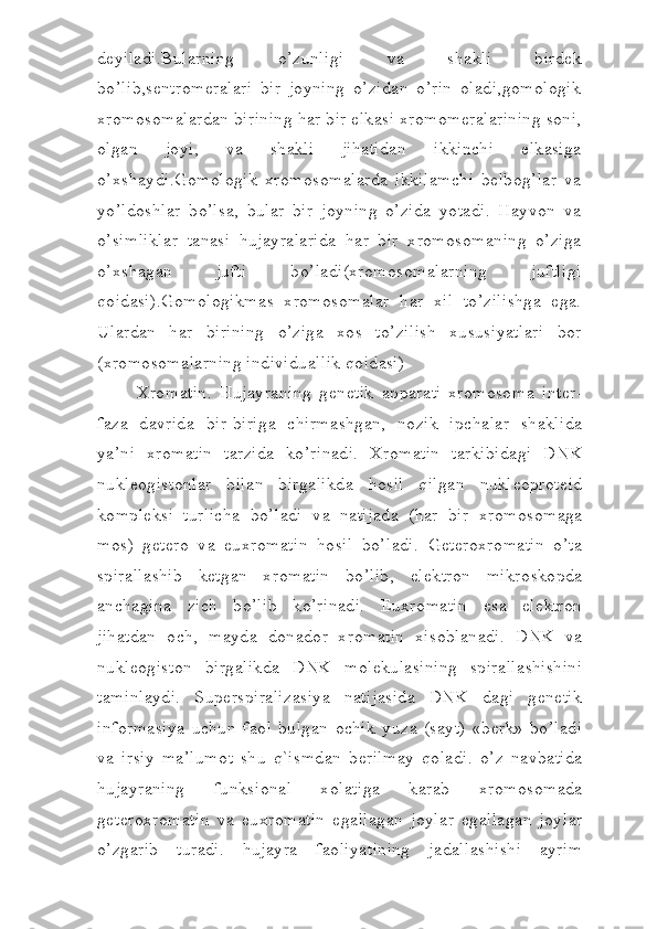 deyiladi.Bularning   o’zunligi   va   shakli   birdek
bo’lib,sentromeralari   bir   joyning   o’zidan   o’rin   oladi,gomologik
xromosomalardan birining har bir elkasi xromomeralarining soni,
olgan   joyi,   va   shakli   jihatidan   ikkinchi   elkasiga
o’xshaydi.Gomologik   xromosomalarda   ikkilamchi   belbog’lar   va
yo’ldoshlar   bo’lsa,   bular   bir   joyning   o’zida   yotadi.   Hayvon   va
o’simliklar   tanasi   hujayralarida   har   bir   xromosomaning   o’ziga
o’xshagan   jufti   bo’ladi(xromosomalarning   juftligi
qoidasi).Gomologikmas   xromosomalar   har   xil   to’zilishga   ega.
Ulardan   har   birining   o’ziga   xos   to’zilish   xususiyatlari   bor
(xromosomalarning individuallik qoidasi)
      Xr о m а tin.   H ujayraning   g е n е tik   а pp а r а ti-xr о m о s о m а   int е r -
f а z а   d а vrid а   bir-birig а   chirm а shg а n,   n о zik   ipch а l а r   sh а klid а
ya’ni   xr о m а tin   t а rzid а   k o ’rin а di.   Xr о m а tin   t а rkibid а gi   DNK
nukl ео gis t о nl а r   bil а n   birg а likd а   hosil   qilgan   nukl ео pr о t е id
k о mpl е ksi   turlich а   bo’ladi   v а   n а tij а d а   (har   bir   xr о m о s о m а g а
m о s)   g е t е r о   v а   euxr о m а tin   hosil   bo’ladi.   G е t е r о xr о m а tin   o’ta
spir а ll а shib   k е tg а n   xr о m а tin   bo’lib,   el е ktr о n   mikr о sk о pd а
а nch а gin а   zich   bo’lib   ko’rinadi.   Euxr о m а tin   es а   el е ktr о n
jihatdan   о ch,   m а yd а   d о n а d о r   xr о m а tin   xis о bl а n а di.   DNK   v а
nu k l ео gist о n   birg а likd а   DNK   m о l е ku l а sining   spir а ll а shishini
t а minl а ydi.   Sup е rspir а liz а siya   n а tij а sid а   DNK   d а gi   g е n е tik
inf о rm а siya   uchun   f ао l   bulg а n   о chik   y u z а   (s а yt)   «b е rk»   bo’ladi
v а   irsiy   ma’lum о t   shu   q`ismd а n   b е rilm а y   qoladi.   o’z   n а vb а tid а
hujayraning   funksi о n а l   x о l а tig а   k а r а b   xr о m о s о m а d а
g е t е r о xr о m а tin   v а   euxr о m а tin   eg а ll а g а n   j о yl а r   eg а ll а g а n   j о yl а r
o’zg а rib   tur а di.   hujayra   f ао liyatining   j а d а ll а shishi   а yrim 