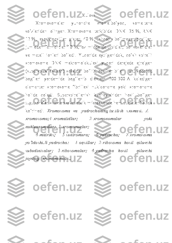 Xulosa
Xromosomalar     yunoncha     xroma-bo’yoq ,     soma-tana
so’zlaridan     olingan.   Xromosoma     tarkibida     DNK     35   %,   RNK
12 %,    asosli oqsillar     gistan    40 %,    ishqoriy bo’lmagan oqsillar,
jumladan   fermentlar   10   %,   oz   miqdorda   lipidlar,   polisaxaridlar
va   metall   ionlari   bo’ladi.   Yuqorida   aytilganidek,   qo’sh   spiralli
xromosoma   DNK   makromolekulasi   yuqori   darajada   ajralgan
(superspirallashgan)   xolatda     bo’lib,   oqsillar   bilan     ion,   vodorod
bog’lari     yordamida     bog’lanib     diametri     200-300   A     keladigan
elementar   xromosoma   fibrillasi   nukleonema   yoki   xromonema
holida   qoladi.   Superspirallanish   kuchayishidan   hosil   bo’lgan
tugunchalar-xromomerlar optik mikroskopda ham nuqtalar holida
ko’rinadi.    Xromosoma  va   yadrochaning tuzilish  sxemasi.  A –
xromosoma;1-xromatidlar;   2-xromonemalar     yoki
nukleonemalar;  3-xromomerlar;  
4-matriks;     5-sentromera;     6-yadrocha;     7-xromosoma
yo’ldoshi.B-yadrocha:     1-oqsillar;   2-ribosoma   hosil   qiluvchi
subedinisalar;   3-ribosomalar;   4-yadrocha   hosil     qiluvchi
joydagi  xromonemala..   