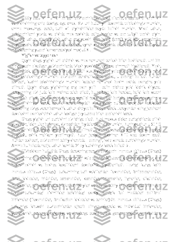 Oddiy qutulish mumkin bo'lgan qo'ziqorinlardan farqli o'laroq, chaga tashqi ko'rinishi
va   pishishining   aniq   davriga   ega   emas.   Siz   uni   butun   yil   davomida   to'plashingiz   mumkin,
ammo   mavsumga   qarab,   turli   xil   qiyinchiliklar   paydo   bo'lishi   mumkin.   Misol   uchun,
qo'ziqorinlarni   yozda   va   qishda   mos   ravishda   qalin   barglar   va   qor   tufayli   topish   qiyin.
Shuning   uchun,   chaga   yig'ish   uchun   eng   yaxshi   vaqt   bahor   (aprel)   yoki   kuz,   sentyabrdan
noyabrgacha hisoblanadi. Bundan tashqari, aynan shu davrlarda qo'ziqorin tarkibida foydali
moddalarning yuqori konsentratsiyasi mavjud[8].
Yig'ish va tayyorlash
Qayin chaga yig'ish uni qidirish va mos namunani tanlash bilan boshlanadi. Uni bir-
biriga yaqin o'sadigan qo'ziqorinlarda izlash yaxshidir, ayniqsa qimmatli hisoblanadi. Yosh,
shuningdek,   juda   eski   bo'lgan   chaga   foydali   xususiyatlarini   yo'qotadi;   Yoshni   pulpa   rangi
bilan   aniqlashingiz   mumkin:   qo'ziqorin   qanchalik   katta   bo'lsa,   u   qorong'i   bo'ladi.   Bundan
tashqari,   kuchni   tekshirishingiz   mumkin:   kattalar   namunasi   bosim   ostida   osongina   yo'q
qilinadi.   Qayin   chaga   yig'ishning   eng   oson   yo'li   -   qalin   pichoq   yoki   kichik   shlyapa.
Jarayonning   o'zi   juda   ko'p   mehnat   talab   qiladi,   bu   nafaqat   ko'p   harakat,   balki   ko'p   vaqtni
ham talab qiladi. Qo'ziqorinni daraxtga parallel ravishda, iloji boricha poydevorga yaqinroq
kesib   olishingiz   kerak,   chunki   barcha   foydali   xususiyatlar   pulpada   mavjud.   Harakatlar
daraxtning o'ziga zarar bermaslik uchun ehtiyot bo'lishlari kerak. Jarayondan so'ng jarohatni
davolashni osonlashtirish uchun kesilgan joy tuproq bilan qoplanishi kerak.
Chaga yig'ish uni quritishni o'z ichiga oladi. Buni maxsus elektr quritgichlarda qilish
yaxshidir, lekin ular bo'lmasa, siz pechdan foydalanishingiz mumkin. Buning uchun u 50 ° C
ga qadar isitiladi, chaga teng bo'laklarga bo'linadi, pishirish varag'iga yotqiziladi va pechga
qo'yiladi,   eshik   mahkam   yopilmaydi.   Butun   jarayon   taxminan   8-10   soat   davom   etadi.
Bundan tashqari, qo'ziqorinni tabiiy sharoitda - qorong'i, issiq xonada quritishingiz mumkin.
Ammo bu holatda natija uchun kamida 24 oy kutishingiz kerak bo'ladi[9].
O’zbekiston hududida  Chaga daraxtning parazit qo'ziqorin Inonotus obliquus (Chaga)
turkumi ning 4 turi o’sadi ,  ular ning ayrimlari   x alq tabobatida  tutqanoq , allergiya, nevroz,  qon
bosimi   oshishi   va   boshqa   kasalliklarni   davolashda   foydalaniladi .   H ozirgi   kunga   kelib
Inonotus   obliquus   (Chaga)     turkumining   turli   vakillaridan   flavonoidlar,   fenilpropanoidlar,
fenol   kislotalar,   iridoidlar,   terpenoidlar,   steroidlar,   triterpenlar,   lignanlar,   alkaloidlar,
fitosterollar, polisaxaridlar, taninlar,  e fir moylari va boshka tabi i y  birikmalar  ajratib olingan.
Ushbu   turkumdagi   o’simliklar   tarkibidagi   asosiy   biologik   faol   moddalar i   polifenol
birikmalar   (flavonoidlar,   fenolkarbon   kislotalar   va   taninlar)dir.   Inonotus   obliquus   (Chaga)
turkumiga   kiruvchi   quziqorinlardan   ajratib   olingan   ekstrakt   va   individual   birikmalar ,
yallig’lanish,   tutqanoq,   bakteri ya va viruslarga qarshi  hamda   gepatoprotekt or , antioksidant, 