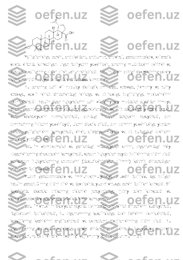 Yallig'lanishga   qarshi,   antioksidant,   antitumor,   antiviral,   gepatoprotektiv,   xoleretik
vosita   sifatida   ko'rsatilgan.   Jigar   faoliyatini   yaxshilash,   tananing   mudofaasini   oshirish   va
saraton kasalligining oldini olish uchun ishlatiladi. Betulin qayin qobig'i ekstraktining asosiy
komponentidir - qayin qobig'idan shifobaxsh komponent. 
Bu   tananing   turli   xil   noqulay   ekologik   omillarga,   stressga,   jismoniy   va   ruhiy
stressga,   xavfli   ishlab   chiqarishdagi   ishlarga   va   ob-havoga   bog'liqligiga   moslashishini
osonlashtiradi.   Betulin   jigar   hujayralarini   turli   xil   kimyoviy   moddalar   ta'siridan   himoya
qiladi,   organizmdan   zararli   moddalarni   zararsizlantirish   va   olib   tashlashga   yordam   beradi,
safro   sekretsiyasini   normallantiradi,   qondagi   lipidlar   darajasini   pasaytiradi,   qon
tomirlarining   holatini   yaxshilaydi,   ularni   elastik   qiladi,   qon   oqimini   yaxshilashga   yordam
beradi,   yallig'lanishni   kamaytiradi,   shish,   allergiya.   Buyrak   va   o't   pufagidagi   toshlarni
eritishga yordam beradi.
Betulin   xromosomalar   va   genlardagi   mutatsiyalar   sonini,   organizmdagi   irsiy
o'zgarishlarning chastotasini kamaytiradi, saraton hujayralari paydo bo'lishining oldini oladi
va   saraton   hujayralarining   apoptozini   (dasturlashtirilgan   o'limini)   keltirib   chiqaradigan
antitumor faollikka ega. 
Yuqori   gepatoprotektiv   va   immunostimulyatsiya   qiluvchi   faollikka   ega   bo'lgan
betulin gepatit C ning oldini olish va davolashda yuqori virusga qarshi faollikni ko'rsatdi. Sil
kasalligida   ekstrakt   o'pkaning   tiklanish   jarayonlariga   ijobiy   ta'sir   ko'rsatadi   va
kimyoterapevtik vositalarning toksik ta'sirini kamaytiradi. 
Betulin  virusli infektsiyalar paytida o'z interferonini ishlab chiqarishni kuchaytiradi,
fagotsitozni   faollashtiradi,   bu   organizmning   kasalliklarga   dosh   berishini   osonlashtiradi,
kasallikning   kechishini   engillashtiradi   va   asoratlarni   rivojlanishining   oldini   oladi.   Bu
organizmning   kislorod   tanqisligiga   qarshi   chidamliligini   oshiradi,   bu   yurak-qon   tomir
kasalliklari, nafas olish etishmovchiligi va jismoniy faollik uchun muhimdir. 