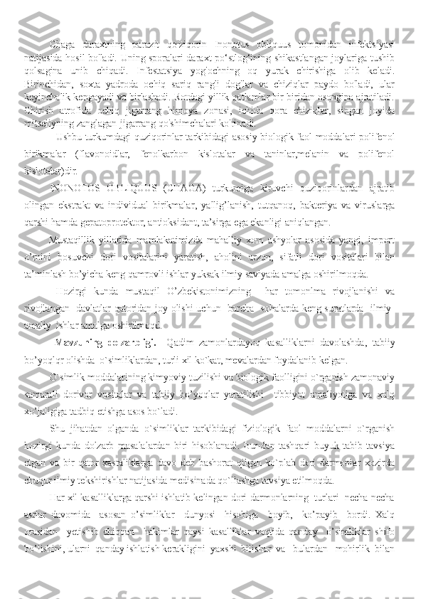 Chaga   daraxtning   parazit   qo'ziqorin   Inonotus   obliquus   tomonidan   infektsiyasi
natijasida hosil bo'ladi. Uning sporalari daraxt po‘stlog‘ining shikastlangan joylariga tushib
qolsagina   unib   chiqadi.   Infestatsiya   yog'ochning   oq   yurak   chirishiga   olib   keladi.
Birinchidan,   soxta   yadroda   ochiq   sariq   rangli   dog'lar   va   chiziqlar   paydo   bo'ladi,   ular
keyinchalik kengayadi va birlashadi. Rotdagi yillik qatlamlar bir-biridan osongina ajratiladi.
Chirish   atrofida   ochiq   jigarrang   himoya   zonasi,   ichida   qora   chiziqlar,   singan   joyida
mitseliyning zanglagan-jigarrang qo'shimchalari ko'rinadi.
    Ushbu turkumdagi quziqorinlar tarkibidagi   asosiy biologik faol moddalar i   polifenol
birikmalar   (flavonoidlar,   fenolkarbon   kislotalar   va   taninlar,melanin   va   polifenol
kislotalar)dir. 
INONOTOS   OBLIQUUS   (CHAGA)   turkumiga   kiruvchi   quziqorinlardan   ajratib
olingan   ekstrakt   va   individual   birikmalar ,   yallig’lanish,   tutqanoq,   bakteri ya   va   viruslarga
qarshi hamda  gepatoprotekt or , antioksidant, ta’sirga  e ga  ekanligi aniqlangan .  
  Mustaqillik   yillarida   mamlakatimizda   mahalliy   xom   ashyolar   asosida   yangi,   import
o ’ rnini   bosuvchi   dori   vositalarini   yaratish,   aholini   arzon,   sifatli   dori   vositalari   bilan
ta ’ minlash bo ’ yicha keng qamrovli ishlar yuksak ilmiy saviyada amalga oshirilmoqda.
H ozirgi   kunda   m ustaqil   O’zbekistonimizning     har   tomonlma   rivojlanishi   va
rivojlangan   davlatlar qatoridan joy olishi uchun   barcha   sohalarda keng suratlarda   ilmiy-
amaliy  ishlar amalga oshirilmoqd.  
        Mavzuning   dolzarbligi .     Qadim   zamonlardayoq   kasalliklarni   davolashda ,   tabiiy
bo’yoqlqr olishda  o`simliklardan, turli xil ko`kat, mevalardan foydalanib kelgan.
O`simlik moddalarining kimyoviy tuzilishi va biologik faolligini o`rganish zamonaviy
samarali   dorivor   vositalar   va   tabiiy   bo’yoqlar   yaratilishi     tibbiyot   amaliyotiga   va   xalq
xo’jaligiga tadbiq etishga asos bo`ladi. 
Shu   jihatdan   olganda   o`simliklar   tarkibidagi   fiziologik   faol   moddalarni   o`rganish
hozirgi   kunda   dolzarb   masalalardan   biri   hisoblanadi.   Bundan   tashqari   buyuk   tabib   tavsiya
etgan   va   bir   qator   xastaliklarga   davo   deb   bashorat   qilgan   ko`plab   dori   darmonlar   xozirda
chuqur ilmiy tekshirishlar natijasida medisinada qo`llashga tavsiya etilmoqda. 
Har xil kasalliklarga qarshi ishlatib kelingan dori-darmonlarning  turlari  necha-necha
asrlar   davomida     asosan   o’simliklar     dunyosi     hisobiga     boyib,     ko’payib     bordi.   Xalq
orasidan     yetishib   chiqqan     hakimlar   qaysi   kasalliklar   vaqtida   qanday     o’simliklar   shifo
bo’lishini, ularni  qanday ishlatish kerakligini  yaxshi  bilishar  va   bulardan   mohirlik  bilan 