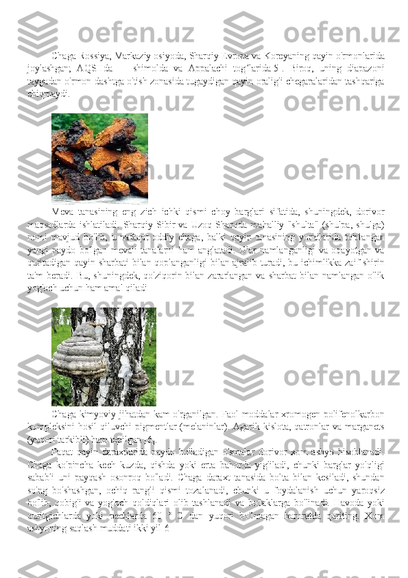 Chaga Rossiya, Markaziy osiyoda, Sharqiy Evropa va Koreyaning qayin o'rmonlarida
joylashgan;   AQSHda   —   shimolda   va   Appalachi   tog larida[5].   Biroq,   uning   diapazoniʻ
taygadan o'rmon-dashtga o'tish zonasida tugaydigan qayin oralig'i chegaralaridan tashqariga
chiqmaydi.
Meva   tanasining   eng   zich   ichki   qismi   choy   barglari   sifatida,   shuningdek,   dorivor
maqsadlarda   ishlatiladi.   Sharqiy   Sibir   va   Uzoq   Sharqda   mahalliy   "shulta"   (shulpa,   shulga)
nomi   mavjud   bo'lib,   u   nafaqat   oddiy   chaga,   balki   qayin   tanasining   yoriqlarida   to'plangan
yangi   paydo   bo'lgan   mevali   tanalarni   ham   anglatadi.   Ular   namlanganligi   va   oqayotgan   va
quritadigan qayin sharbati bilan qoplanganligi bilan ajralib turadi, bu ichimlikka zaif shirin
ta'm   beradi.  Bu,  shuningdek,  qo'ziqorin bilan  zararlangan  va  sharbat   bilan  namlangan  o'lik
yog'och uchun ham amal qiladi
Chaga kimyoviy jihatdan kam o'rganilgan. Faol moddalar xromogen polifenolkarbon
kompleksini   hosil  qiluvchi   pigmentlar   (melaninlar). Agarik  kislota,  qatronlar  va  marganets
(yuqori tarkibli) ham topilgan [6].
Faqat   qayin   daraxtlarida   paydo   bo'ladigan   o'smalar   dorivor   xom   ashyo   hisoblanadi.
Chaga   ko'pincha   kech   kuzda,   qishda   yoki   erta   bahorda   yig'iladi,   chunki   barglar   yo'qligi
sababli   uni   payqash   osonroq   bo'ladi.   Chaga   daraxt   tanasida   bolta   bilan   kesiladi,   shundan
so'ng   bo'shashgan,   ochiq   rangli   qismi   tozalanadi,   chunki   u   foydalanish   uchun   yaroqsiz
bo'lib,   qobig'i   va   yog'och   qoldiqlari   olib   tashlanadi   va   bo'laklarga   bo'linadi.   Havoda   yoki
quritgichlarda   yoki   pechlarda   60   °   C   dan   yuqori   bo'lmagan   haroratda   quriting.   Xom
ashyoning saqlash muddati ikki yil[6] 