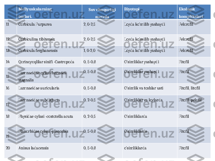 M o llyuskalarning 
turlari. Suv chuqurligi 
metrda Biyotopi Ekologik 
komplikslari 
11 Corbicula Purpurea 2, 0-2,5 Loyda ko‘milib yashaydi  Pelorofil 
12 Corbiculina tibitensiz  2, 0-2,5 Loyda ko‘milib   yashaydi  Pelorofil 
13 Corbicula ferghanensis  1, 0-2,0 Loyda ko‘milib yashaydi  Pelorofil 
14 Qorinoyoqlilar sinifi -Gastropoda  0, 5-0,8 O‘simliklar yashaydi  Fitofil 
15 Lumnaeidae   oylasi-lumnaea 
stagnalis  0, 5-0,8 O‘simliklar yashaydi  Fitofil 
16 Lumnaeidae auricularia  0, 5-0,8 O‘simlik va toshlar usti Fitofil, litofil
17 Lumnaeidae subdisjucta  0, 2-0,5 O‘simliklar va loylarda Fitofil, pelofil
18 Physidae oylasi -costotella acuta  0, 2-0,5 O‘simliklarda Fitofil 
19 Planorbidae oylasi -planorbis  0, 5-0,8 O‘simliklarda Fitofil 
20 Anisus ladacensis 0, 5-0,8 o‘simliklarda Fitofil 