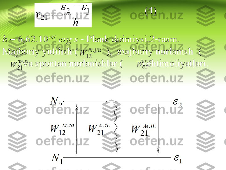                                                     (1) 
h  = 6,62.10 -27
  erg   s  - Plank doimiysi.2-rasm. 
Маjburiy yutilish (             ),  mаjburiy nurlanish  (    
      ) va spontan nurlanishlar (         ) ehtimoliyatlari . 