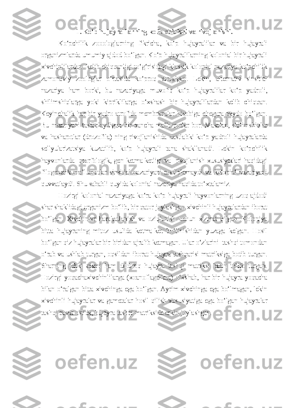 1. Ko‘p hujayralilarning kelib chiqishi va rivojlanishi.
Ko‘pchilik   zooologlarning   fikricha,   ko‘p   hujayralilar   va   bir   hujayrali
organizmlarda umumiy ajdod bo‘lgan. Ko‘p hujayralilarning kolonial bir hujayrali
xivchinlilardan  kelib chiqqanligi to‘g‘risidagi klassik kolonial nazariya ko‘pchilik
zamonaviy   zoologlar   o‘rtasida   ko‘proq   tarqalgan.   Lekin,   alternativ   sinsitial
nazariya   ham   borki,   bu   nazariyaga   muvofiq   ko‘p   hujayralilar   ko‘p   yadroli,
shilimshiqlarga   yoki   kipriklilarga   o‘xshash   bir   hujayralilardan   kelib   chiqqan.
Keyinchalik  har   bir  yadro  atrofida  membranalar  hisobiga   chegara  paydo  bo‘lgan.
Bu   nazariyani   tasdiqlaydigan   bir   qancha   ma’lumotlar   bor.   Masalan,   shilimshiqlar
va   hasharotlar   (drozofila)   ning   rivojlanishida   dastlabki   ko‘p   yadroli   hujayralarda
sellyularizatsiya   kuzatilib,   ko‘p   hujayrali   tana   shakllanadi.   Lekin   ko‘pchilik
hayvonlarda   morfologik, gen ketma-ketligi  va    rivojlanish  xususiyatlari  haqidagi
filogenetik   ma’lumotlar   sinsitial   nazariyani   tasdiqlamaydi   va   kolonial   nazariyani
quvvatlaydi. Shu sababli quyida kolonial nazariya haqida to‘xtalamiz. 
Hozirgi kolonial nazariyaga ko‘ra ko‘p hujayrali hayvonlarning uzoq ajdodi
shar shaklidagi organizm bo‘lib, bir qator joylashgan xivchinli hujayralardan iborat
bo‘lgan.   Xivchinlar   harakatlanish   va   oziqlanish   uchun   xizmat   qilgan.   Koloniya
bitta   hujayraning   mitoz   usulida   ketma-ket   bo‘linishidan   yuzaga   kelgan.   Hosil
bo‘lgan qiz hujayralar bir-biridan ajralib ketmagan. Ular o‘zlarini  tashqi tomondan
o‘rab va ushlab turgan, oqsildan iborat hujayra tashqarisi  matriksiga botib turgan.
Sharning   ichki   qismi   ham   dildiroq   hujayra   tashqi   matriksi   bilan   to‘lib   turgan.
Hozirgi  yoqachaxivchinlilarga   (xoanoflagellata)   o‘xshab,  har   bir  hujayra  yoqacha
bilan o‘ralgan bitta xivchinga ega bo‘lgan. Ayrim xivchinga ega bo‘lmagan, lekin
xivchinli   hujayralar   va   gametalar   hosil   qilish   xususiyatiga   ega   bo‘lgan  hujayralar
tashqi qavat ostida, hujayra tashqi matriksida erkin joylashgan.   