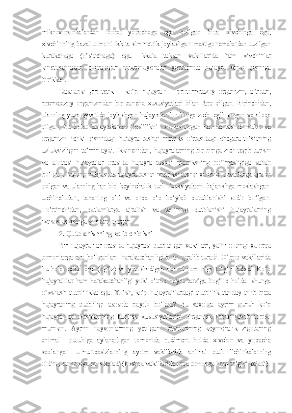 mikrovorsinkalardan   iborat   yoqachaga   ega   bo‘lgan   bitta   xivchinga   ega,
xivchinning bazal tomoni ikkita simmetrik joylashgan mastigonemalardan tuzilgan
kurakchaga   (o‘siqchaga)   ega.   Ikkala   takson   vakillarida   ham   xivchinlar
kinetosomadan   chiqadigan   mikronaychalar   yordamida   hujayra   ichki   qismiga
birikkan. 
Dastlabki   gipotetik       ko‘p   hujayrali   –   protometazoy   organizm,   aftidan,
premetazoy   organizmdan   bir   qancha   xususiyatlari   bilan   farq   qilgan.   Birinchidan,
ularning yuza qavatida joylashgan hujayralar bir-biriga zich tegib turgan va aloqa
qilgan,   bu   holat   hujayralararo   jipslilikni   osonlashtirgan   hamda   tashqi   muhit   va
organizm   ichki   qismidagi   hujayra   tashqi   matriks   o‘rtasidagi   chegara-to‘siqning
uzluksizligini ta’minlaydi. Ikkinchidan, hujayralarning bir-biriga zich tegib turishi
va   aloqasi   hujayralar   orasida   hujayra   tashqi   matriksning   bo‘lmasligiga   sabab
bo‘lgan. Buning natijasida hujayra tashqi matriksi tashqi va ichki qavatlarga ajralib
qolgan va ularning har biri keyinchalik turli funksiyalarni  bajarishga moslashgan.
Uchinchidan,   tananing   old   va   orqa   o‘q   bo‘ylab   qutublanishi   sodir   bo‘lgan.
To‘rtinchidan,   qatlamlarga   ajralish   va   tanining   qutblanishi   hujayralarning
ixtisoslashishiga yordam bergan. 
2. Qutblanishning kelib chiqishi
Bir hujayralilar orasida hujayrasi qutblangan vakillari, ya’ni oldingi va orqa
tomonlarga ega bo‘lganlari   harakatchanligi bilan ajralib turadi. O‘troq vakillarida
bu   holat   erkin   oral   (og‘iz)   va   yopishadigan   aboral   tomoniga   to‘g‘ri   keladi.   Ko‘p
hujayralilar   ham   harakatchanligi   yoki   o‘troq   hayot   tarziga   bog‘liq   holda     shunga
o‘xshash  qutblilikka ega. Xo‘sh, ko‘p hujayralilardagi  qutblilik qanday qilib bitta
hujayraning   qutbliligi   asosida   paydo   bo‘ladi?   Bu   savolga   ayrim   guruh   ko‘p
hujayralilar   ootsitlarining   tuzilish   xususiyatlarini   o‘rganish   orqali   javob   topish
mumkin.   Ayrim   hayvonlarning   yetilgan   ootsitlarining   keyinchalik   zigotaning
animal     qutubiga   aylanadigan   tomonida   rudiment   holda   xivchin   va   yoqacha
saqlangan.   Umurtqasizlarning   ayrim   vakillarida   animal   qutb   lichinkalarning
oldingi tomoniga mos keladi (boshqa vakillarida orqa tomonga ham to‘g‘ri keladi). 