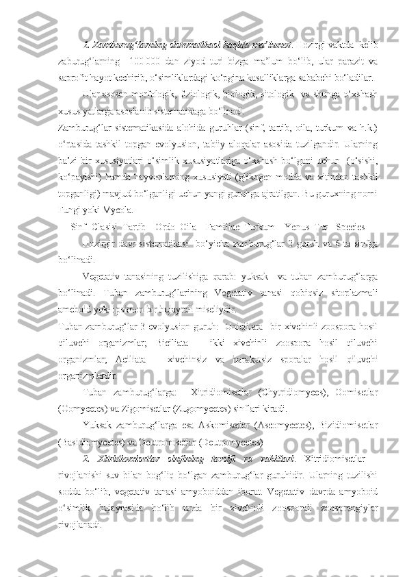 1. Zamburug‘larning sistematikasi haqida ma’lumot . Hozirgi vaktda  kelib
zaburug‘larning     100   000   dan   ziyod   turi   bizga   ma’lum   bo‘lib,   ular   parazit   va
saprofit hayot kechirib, o‘simliklardagi ko‘pgina kasalliklarga sababchi bo‘ladilar.
Ular asosan  morfologik, fiziologik, biologik, sitologik   va shunga o‘xshash
xususiyatlarga asoslanib sistematikaga bo‘linadi.
Zamburug‘lar   sistematikasida   alohida   guruhlar   (sinf,   tartib,   oila,   turkum   va   h.k.)
o‘rtasida   tashkil   topgan   evolyusion,   tabiiy   aloqalar   asosida   tuzilgandir.   Ularning
ba’zi   bir  xususiyatlari   o‘simlik  xususiyatlariga  o‘xshash   bo‘lgani   uchun    (o‘sishi,
ko‘payishi)   hamda   hayvonlarning   xususiyati   (glikogen   modda   va   xitindan   tashkil
topganligi) mavjud bo‘lganligi uchun yangi guruhga ajratilgan. Bu guruxning nomi
Fungi yoki Mycola.
      Sinf -Clasisi    Tartib – Ordo  Oila – Familiae  Turkum – Yenus  Tur - Species 
Hozirgir   davr   sistematikasi     bo‘yicha   zamburug‘lar   2   guruh   va   6   ta   sinfga
bo‘linadi.
Vegetativ   tanasining   tuzilishiga   qarab:   yuksak     va   tuban   zamburug‘larga
bo‘linadi.   Tuban   zamburug‘larining   Vegetativ   tanasi   qobiqsiz   sitoplazmali
ameboid yoki ipsimon bir hujayrali miseliydir.
Tuban zamburug‘lar 3 evolyusion guruh:   Uniciliata –bir xivchinli zoospora hosil
qiluvchi   organizmlar;   Biciliata   –   ikki   xivchinli   zoospora   hosil   qiluvchi
organizmlar;   Aciliata   –   xivchinsiz   va   harakatsiz   sporalar   hosil   qiluvchi
organizmlardir.
Tuban   zamburug‘larga:     Xitridiomisetlar   (Chytridiomyces),   Oomisetlar
(Oomycetes) va Zigomisetlar (Zugomycetes) sinflari kiradi.
Yuksak   zamburug‘larga   esa   Askomisetlar   (Ascomycetes),   Bizidiomisetlar
(Basidiomycetes) va Deutromisetlar (Deutromycetes)
2.   Xitridiomisetlar   sinfining   tavsifi   va   vakillari .   Xitridiomisetlar   –
rivojlanishi   suv   bilan   bog‘liq   bo‘lgan   zamburug‘lar   guruhidir.   Ularning   tuzilishi
sodda   bo‘lib,   vegetativ   tanasi   amyoboiddan   iborat.   Vegetativ   davrda   amyoboid
o‘simlik   hujayrasida   bo‘lib   unda   bir   xivchinli   zoosporali   zoosprangiylar
rivojlanadi.  