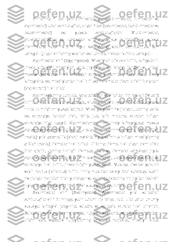 Sinflarning   4   tasi   (xitridiomilsellar,   gitoxitridiomitsetlar,   oomitsetlar   va
zigomitsetlar) tuban zamburug‘lar, qolgan 3 tasi (askomitsetlar, bazidiomitsetlar va
dcutcromitsctlar)   esa   yuksak   zamburug‘lardir.   Xiuidiomitsetlar,
gitoxitridiomitsetlar   va   oomitsetlar   ko‘pinchalik   suv   muhitida   yoki   yuksak
o‘simliklarda   parazillik   qilib   hayot   kechirganligi   sababli   tuproqda   juda   kam
uchraydi. Qolgan sinflarning vakillari csa luproqda nisbatan ko‘proq uchraydi.
Zigomitsetlar   sinfi   (Zygomycetes).   Mitscliylari   to‘siqsiz   bo‘lib,   ko‘pyadroli.
Jinssiz   ko‘payishi   mitscliylari   uslida   joylashgan   spo-rangiya   bandlari   va   undagi
maxsus   uyachalarda   hosil   bo‘ladigan   spo ralar   yordamida   amalga   oshadi.   Jinsiy
ko‘payishda esa mitseliylaridan hosil bo‘luvchi o‘simtalar o‘zaro qo‘shilib zigotani
(zigosporani) ho sil qiladi.
Zigomitsetlarning   tuproqda   keng   tarqalgan   vakillaridan   biri   mu-kor   (Mucor)
bo‘lib, o‘simlik qoldiqlari va go‘ngda, shuningdek oziq-ovqat qoldiqlarida, ayniqsa
nonda oq mo‘g‘orni yuzaga keltiradi. Mitscliysi yaxshi rivojlangan, ularning ustida
esa   sporangiya   bandlari   o‘sib,   ichida   juda   ko‘p   miqdorda   sporalari   bo‘lgan
sporangiya   bilan   tugaydi.   Zigomitsetlarning   nomi   jinsiy   ko‘payishdagi   maxsus
zigogamiya jarayonidan olingan. Bunda gomotallik (bir mitseliyning ikkita gifalari
orasida)  yoki getcrotallik (shartli ravishda plyus va mi nus bo‘lgan mitscliylaming
gifalari orasida) o‘simtalar hosil bo‘ladi. Gifaning o‘simta hosil qilgan qismi to‘siq
bilan   ajralib,   ularning   bor-lig‘i   o‘simtaga   o‘tadi   va   o‘simtalar   uchrashgan   joyda
zigota vujudga keladi. Zigotalar tinim davrini o‘tgach, ulardan sporangiya bandi va
sporangiya hosil bo‘lib, jinssiz bo‘g‘in yuzaga keladi. Mukorga o‘xshash yana bir
vakili   rizopus   (Rhizopus)   bo‘lib.   lining   mukordan   asosiy   farqi   substratga   kuchli
rivojlangan rizoidlari  bilan yopishgan va stalon (substratning bir joyidan ikkinchi
joyiga o‘tuvchi yirik gifa) hosil qilish xususiyatiga ega bo‘ladi.
Askomitsetlar   sinfi   (Ascomycetes).   Askomitsetlar   yoki   xal-tachali
zamburug‘lar sinfi 30 mingga yaqin turlami o‘z ichiga oladi. Ular uchun umumiy
xususiyat   ko‘payish   jarayonida   xaltacha   va   xal-tacha   sporalar   hosil   qilishidir.
Xaltachali   zamburug‘laming   alohida   hujayrali   vakillarida   xaltachalari   to‘g‘ridan-
to‘g‘ri   ikkita   vegctativ   hu-jayralarning   qo‘shilishi   natijasida,   mitscliyli   sodda 